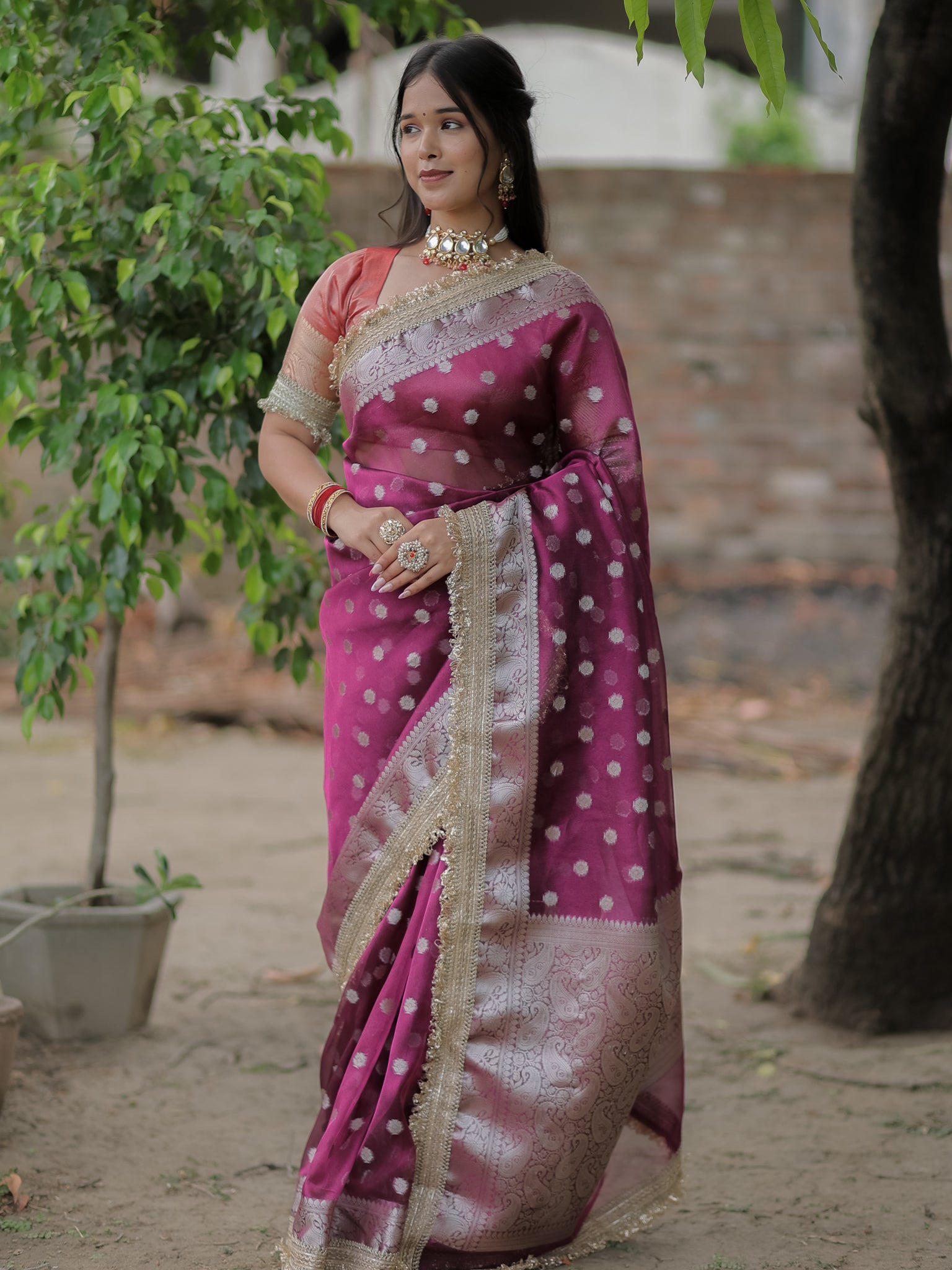 Banarasi Tissue Saree With Silver Zari & Border - Wine