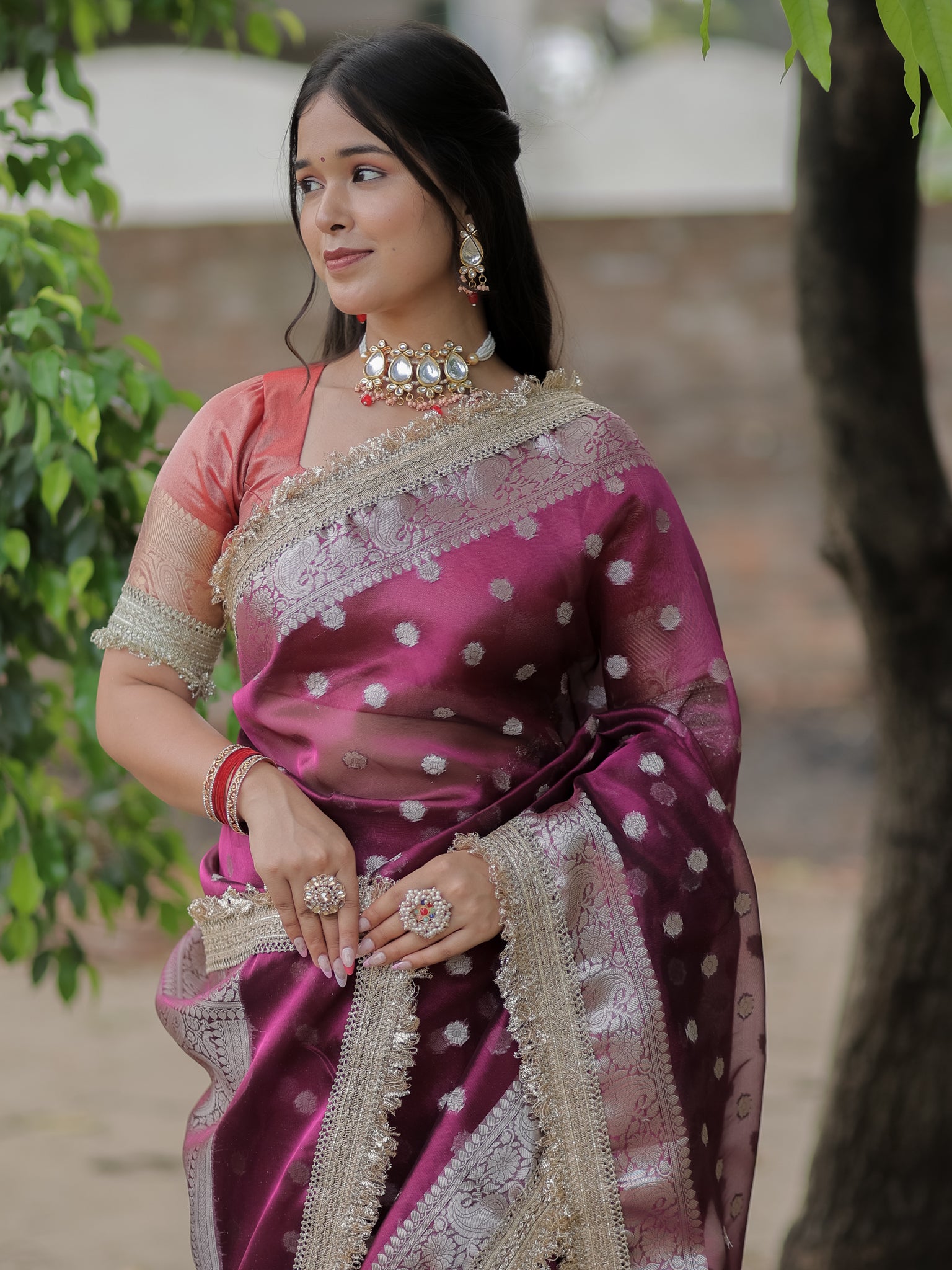 Banarasi Tissue Saree With Silver Zari & Border - Wine