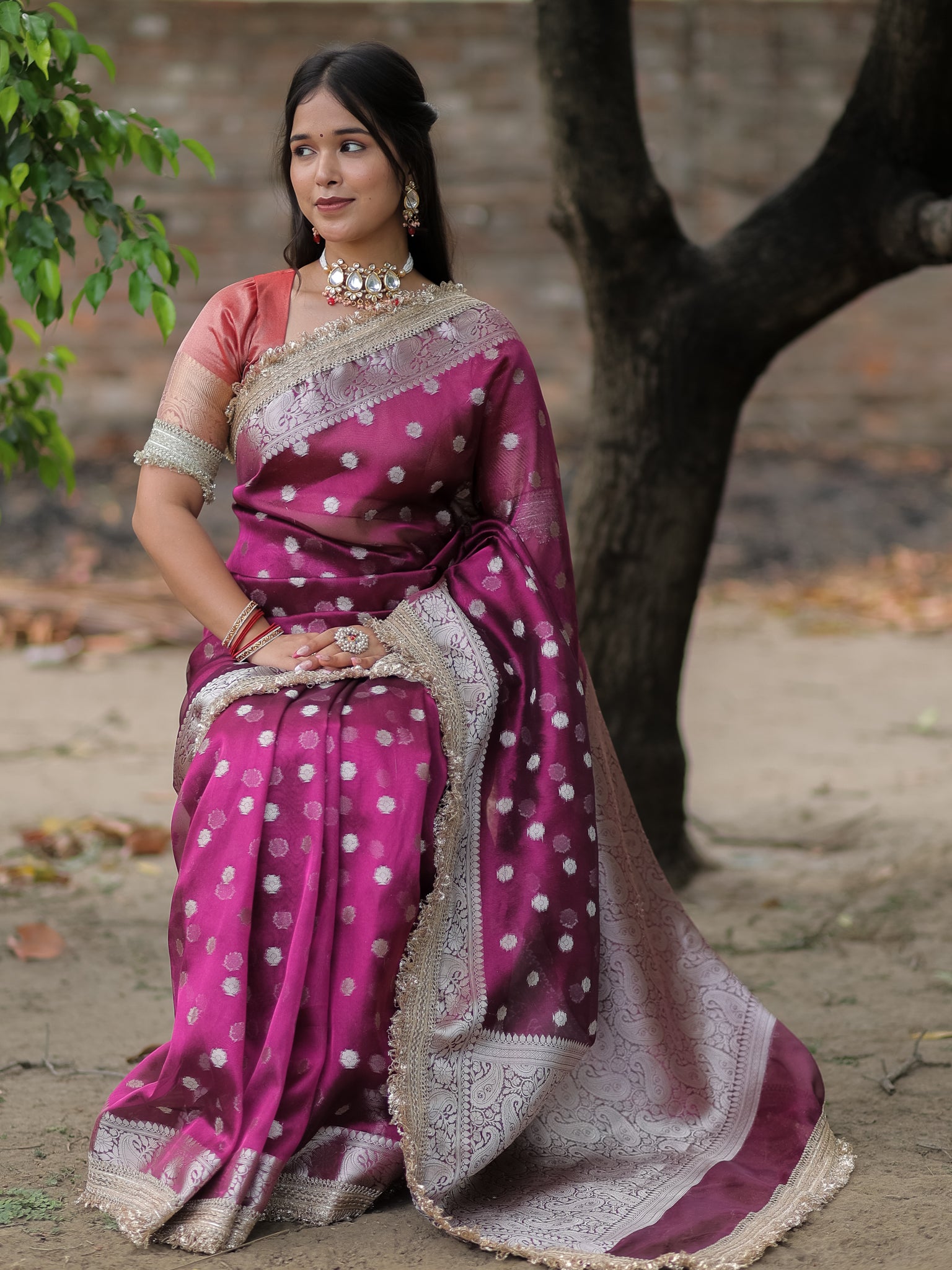 Banarasi Tissue Saree With Silver Zari & Border - Wine