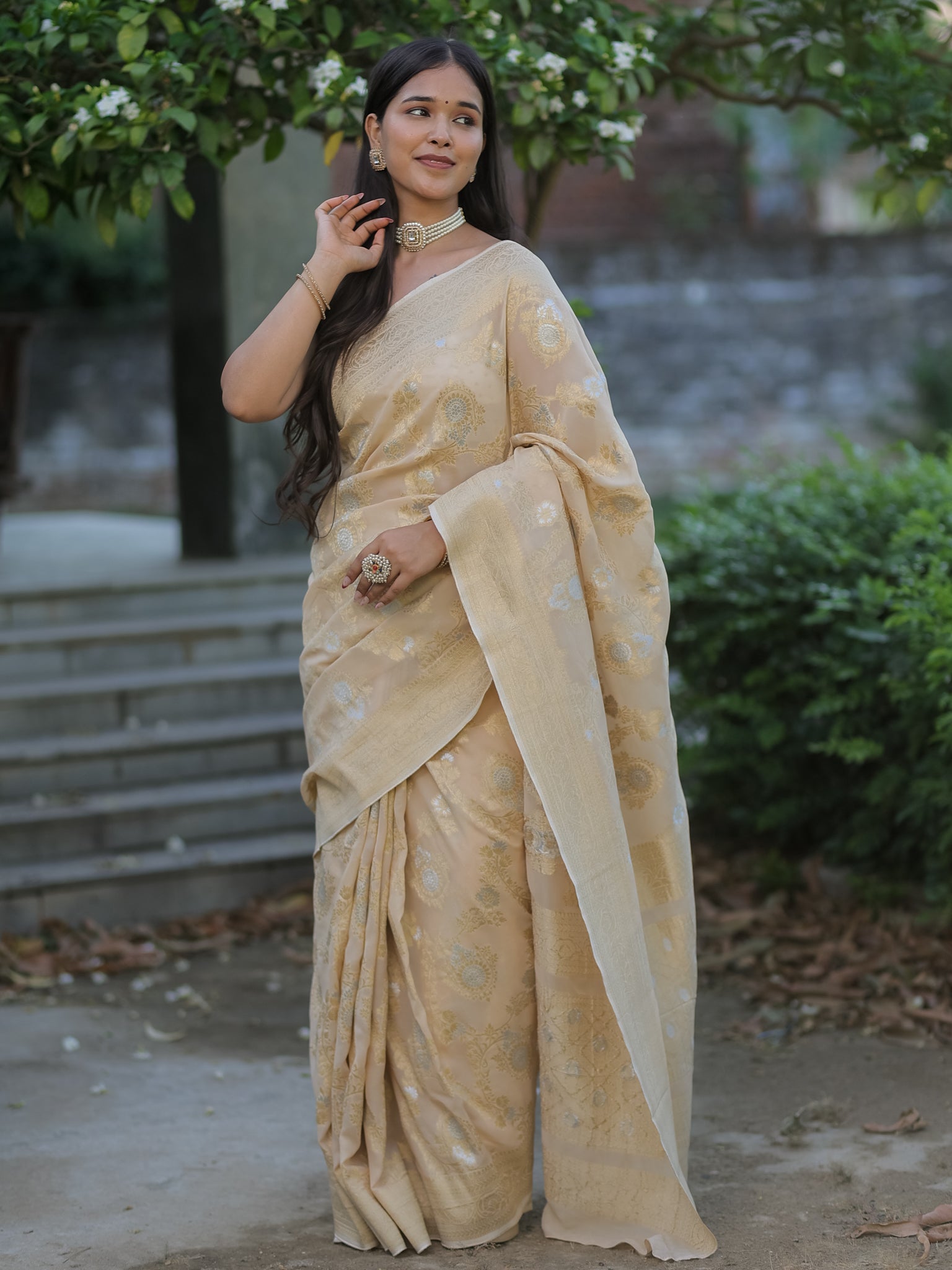 Banarasi Viscose Georgette Saree With Floral Weaving- Beige