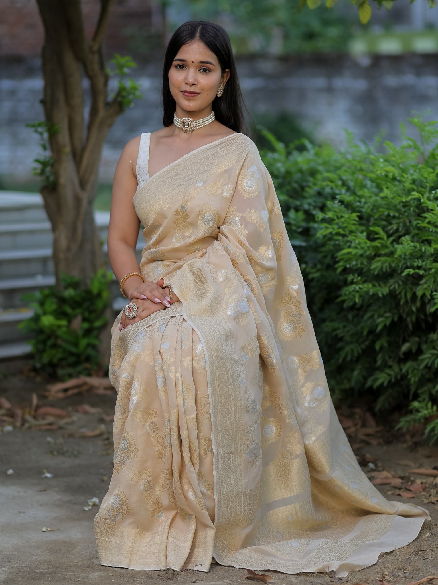 Banarasi Viscose Georgette Saree With Floral Weaving- Beige