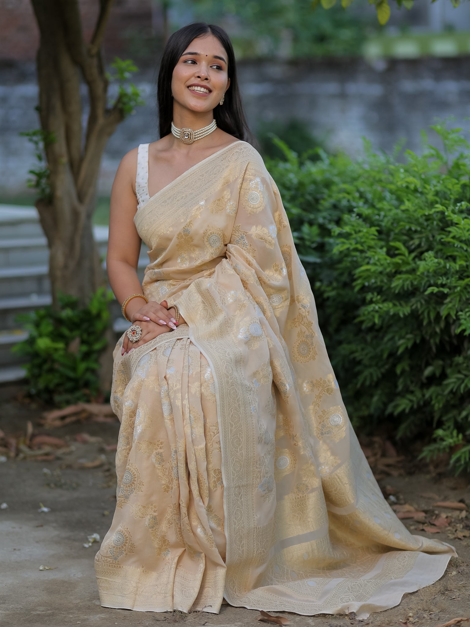 Banarasi Viscose Georgette Saree With Floral Weaving- Beige