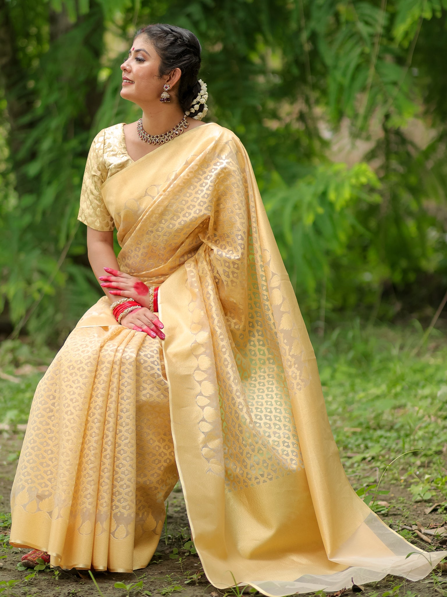Banarasi Tissue Saree With Border - Golden