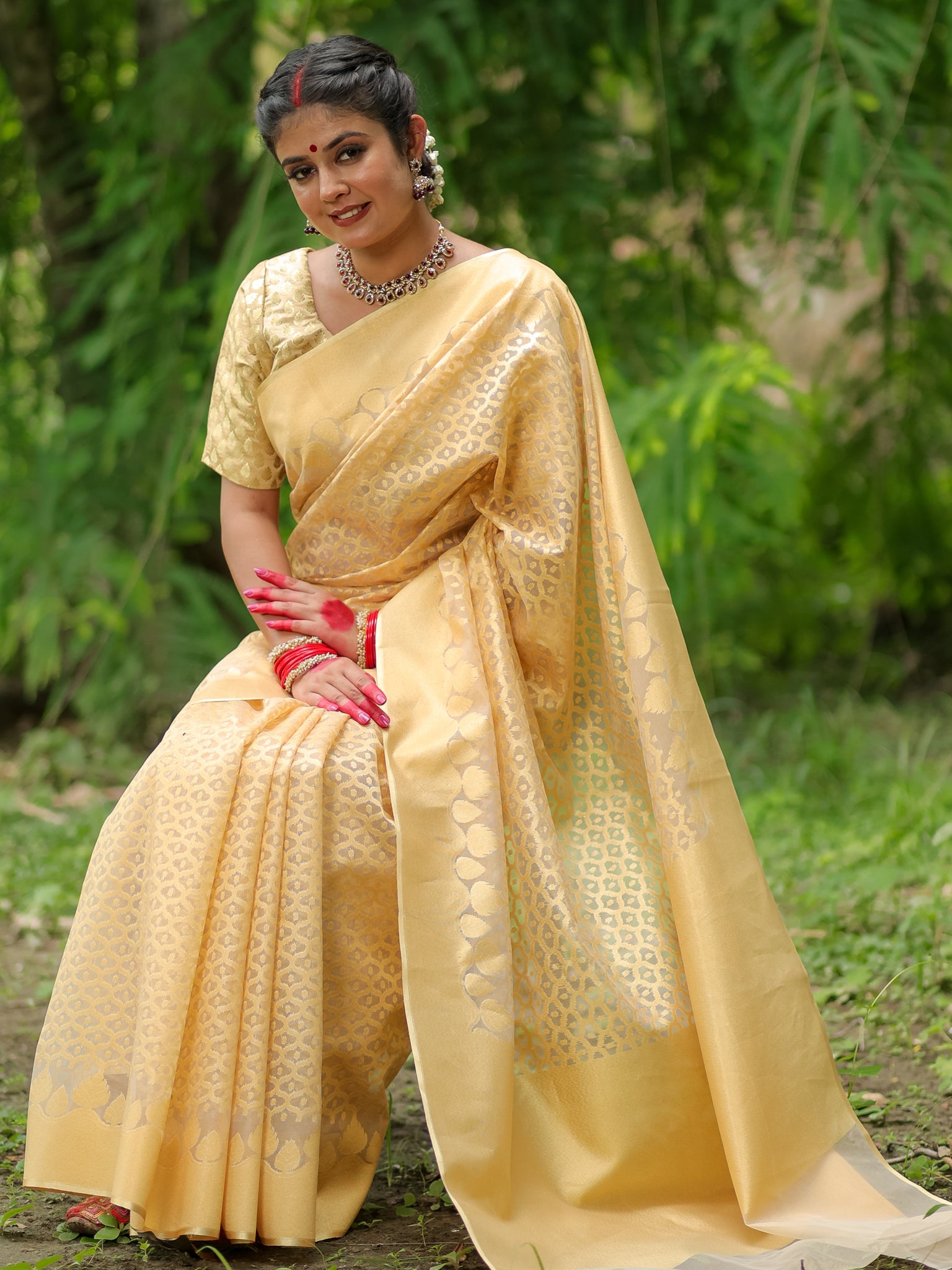 Banarasi Tissue Saree With Border - Golden