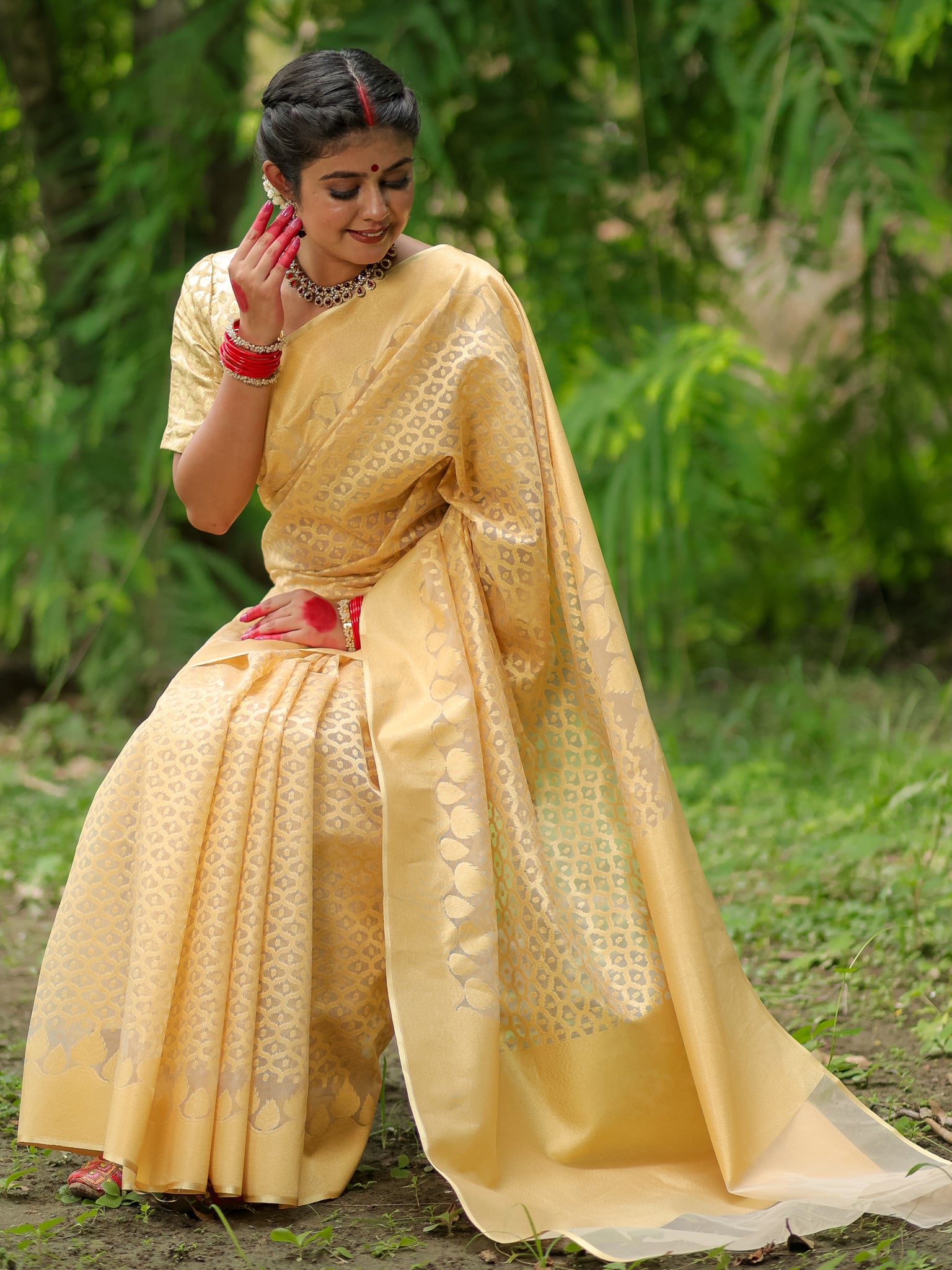 Banarasi Tissue Saree With Border - Golden