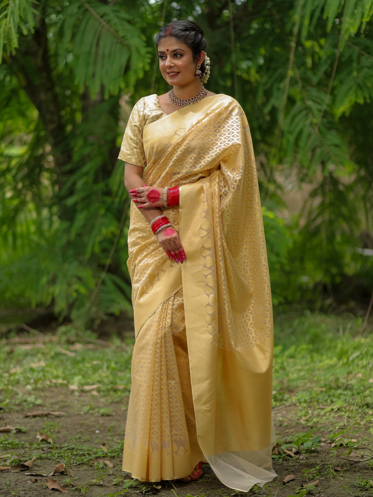 Banarasi Tissue Saree With Border - Golden
