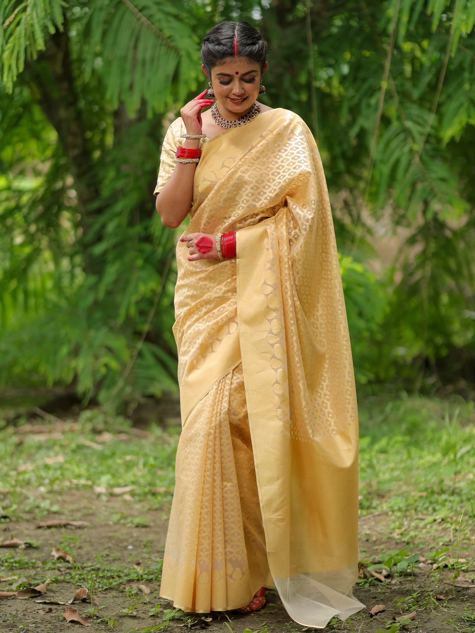 Banarasi Tissue Saree With Border - Golden