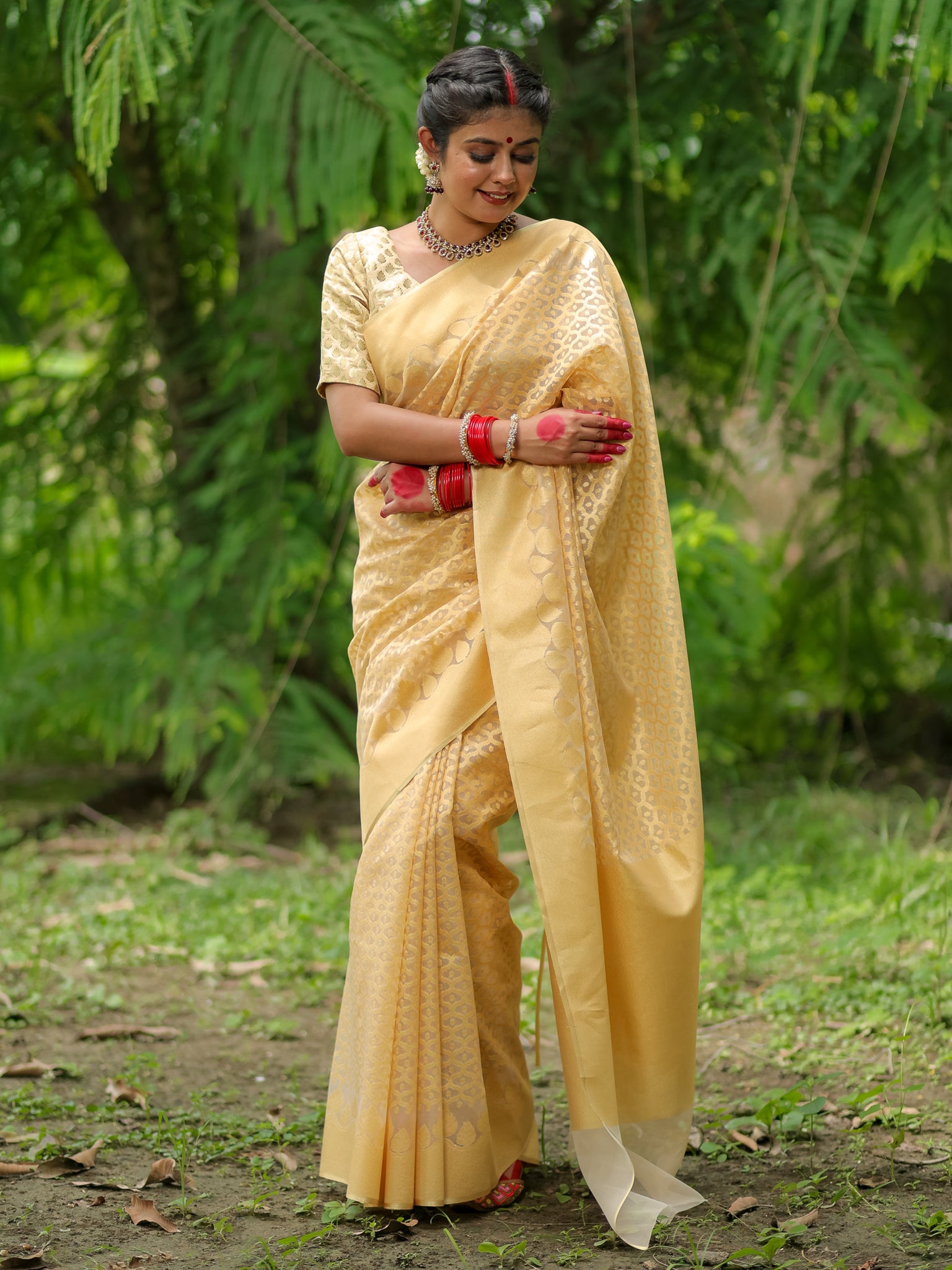 Banarasi Tissue Saree With Border - Golden