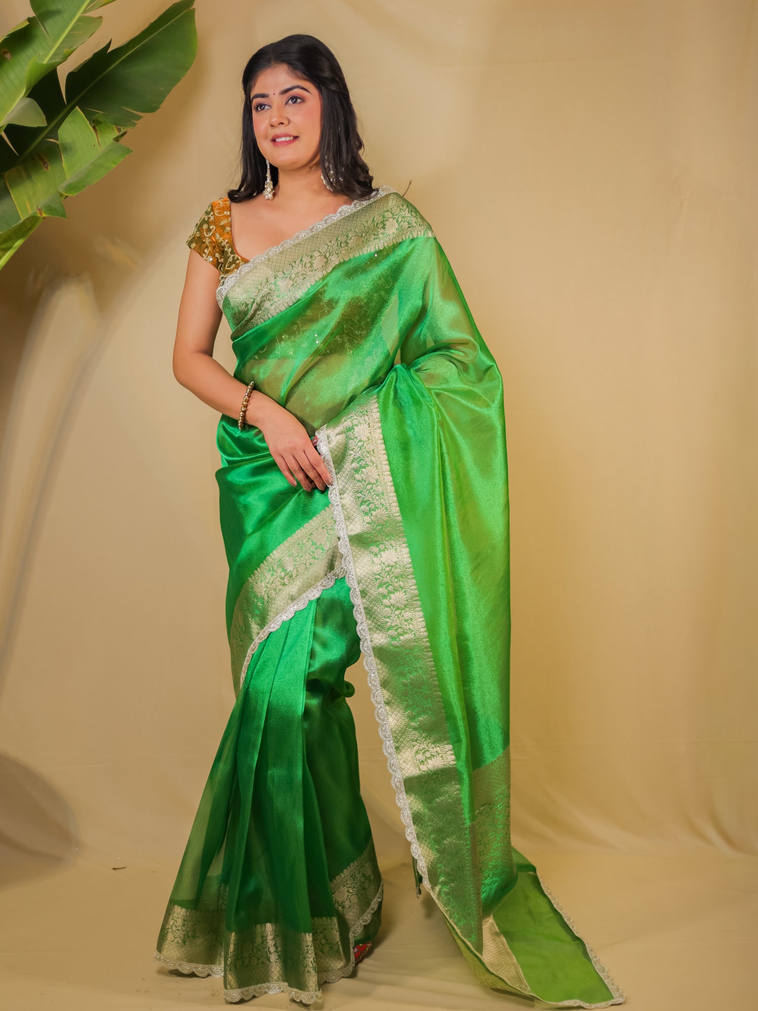 Banarasi Plain Tissue Saree With Lace Border - Green