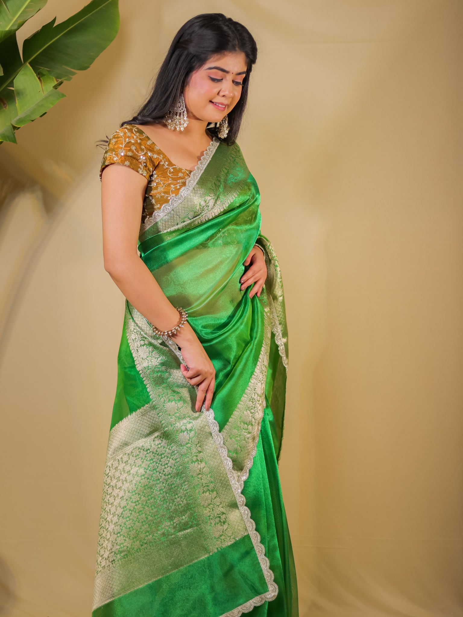 Banarasi Plain Tissue Saree With Lace Border - Green