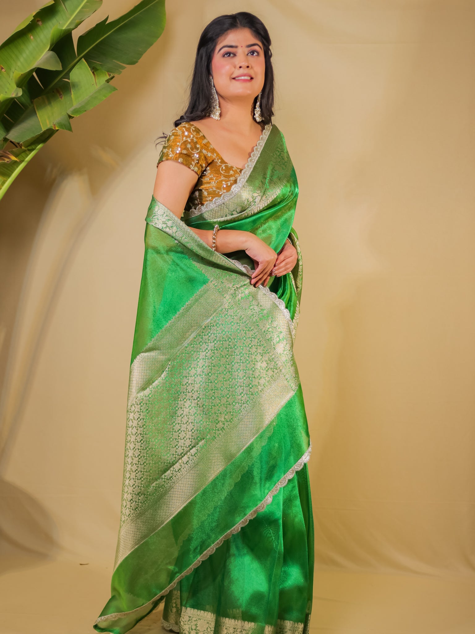Banarasi Plain Tissue Saree With Lace Border - Green