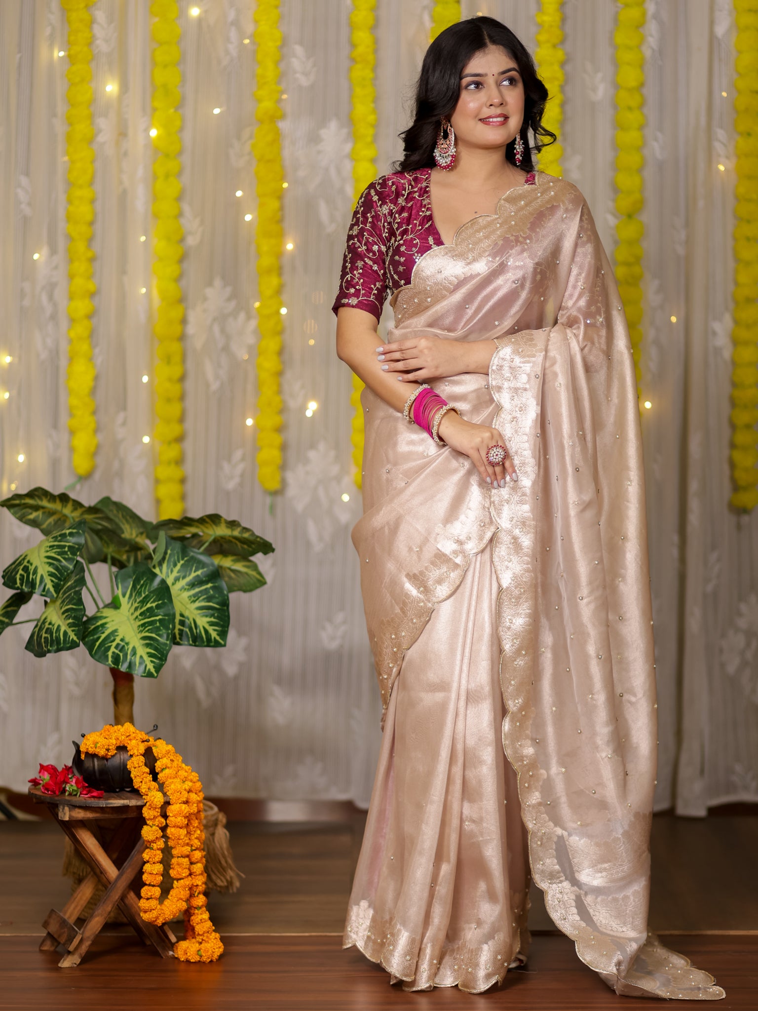 Banarasi Tissue Saree With Scallop Border - Beige