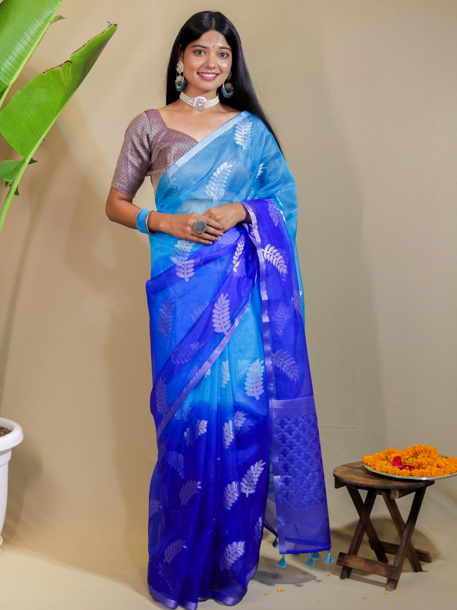 Banarasi Organza Dual Shade Saree With Zari Border- Blue & White