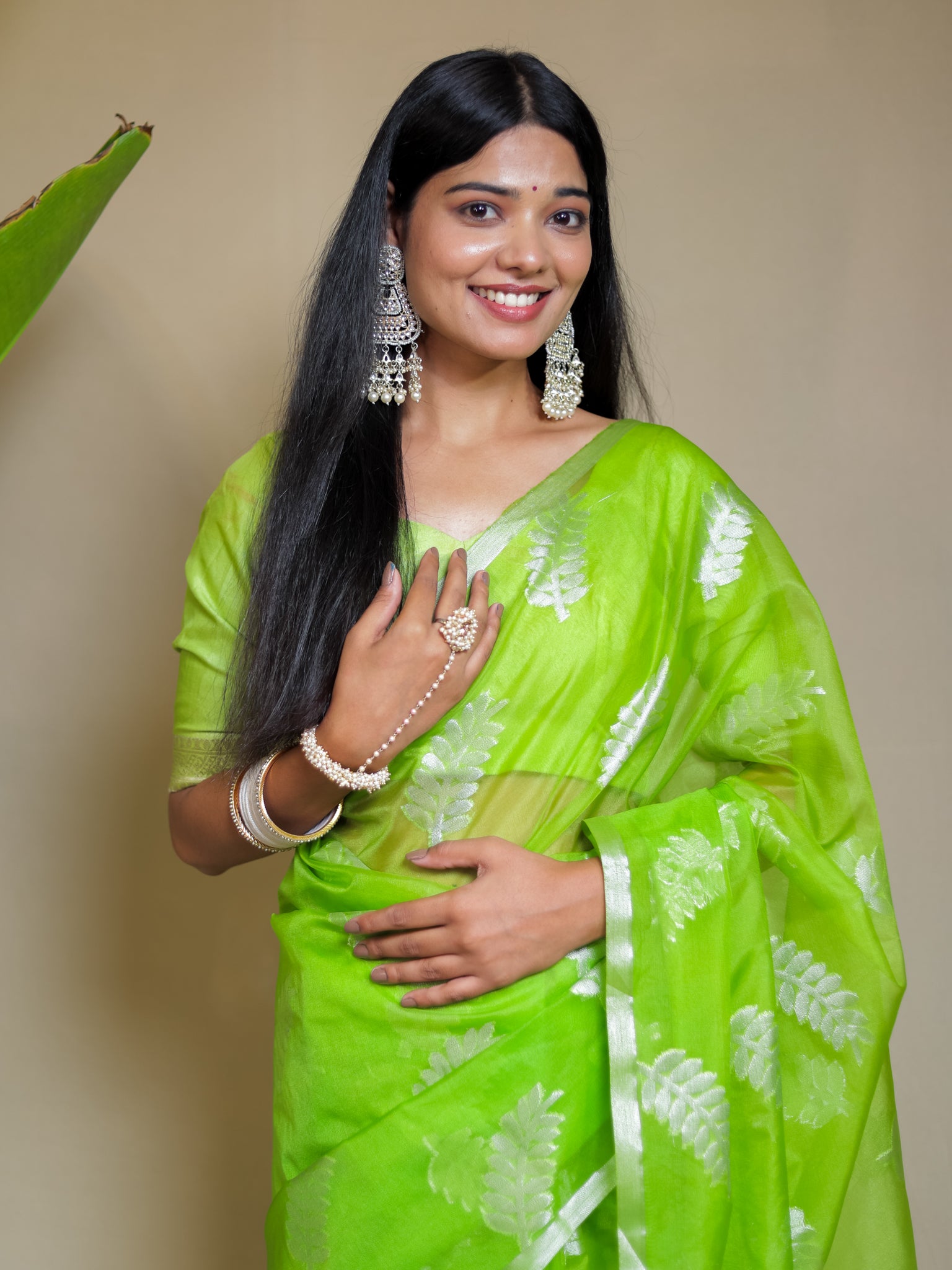 Banarasi Organza Saree With Zari Border- Green