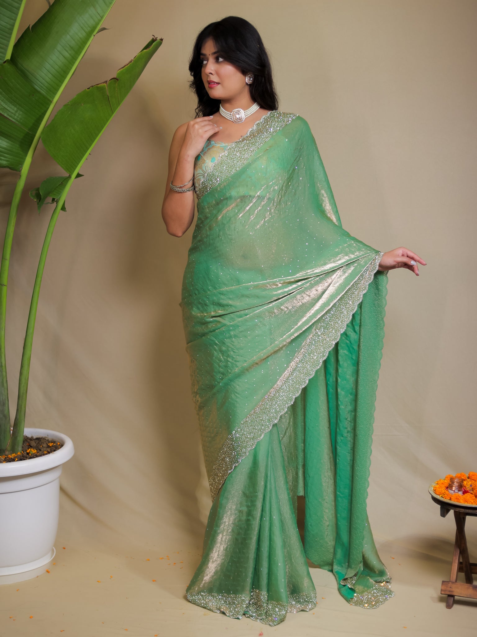 Tissue Sequin Saree - Pastel Green