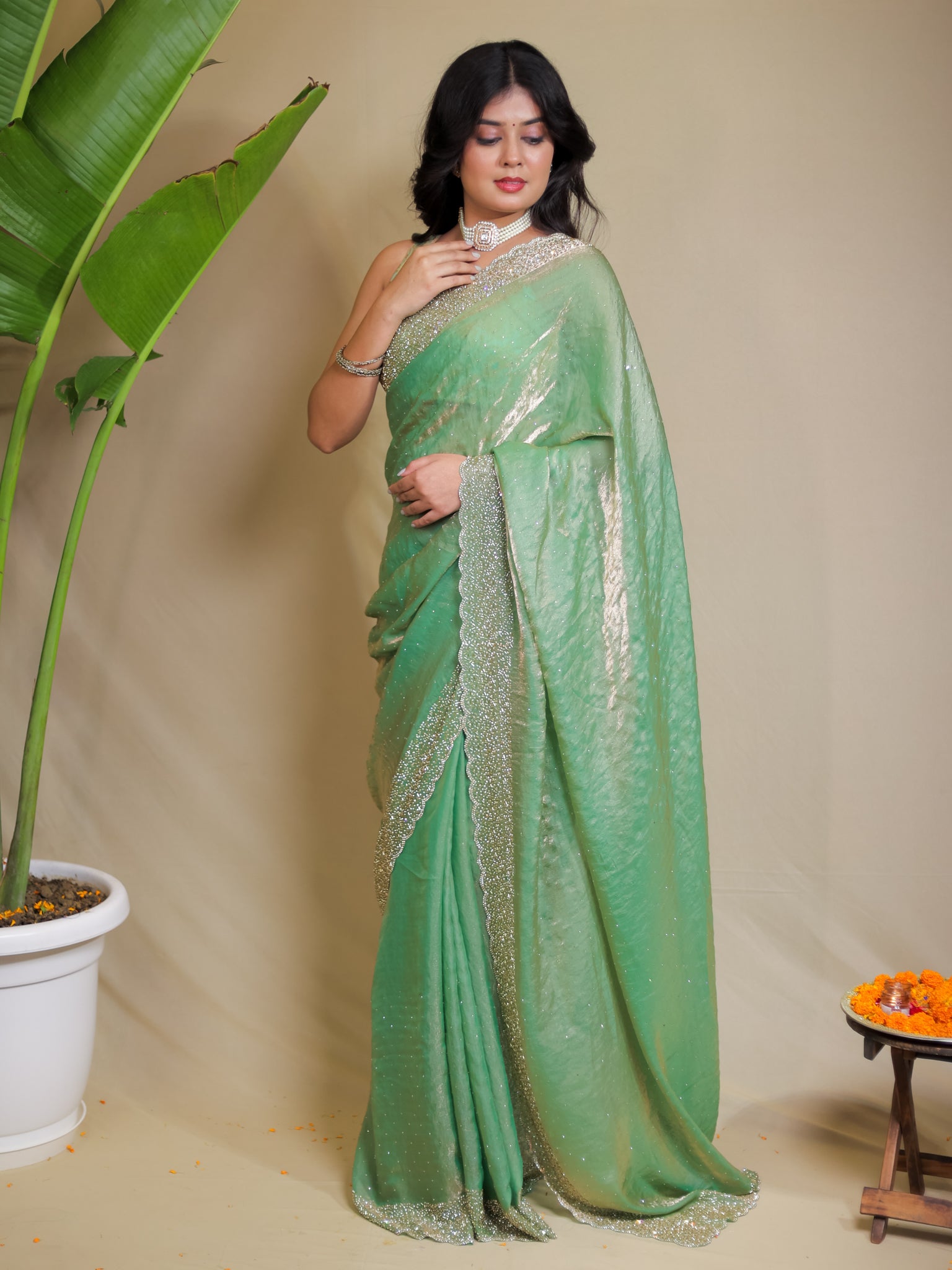 Tissue Sequin Saree - Pastel Green