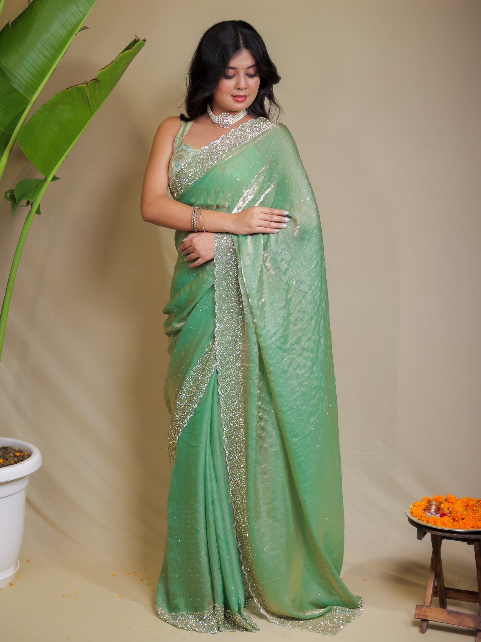 Tissue Sequin Saree - Pastel Green