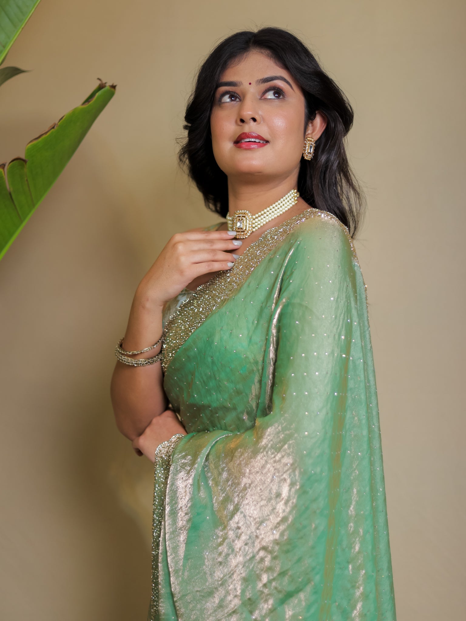 Tissue Sequin Saree - Pastel Green