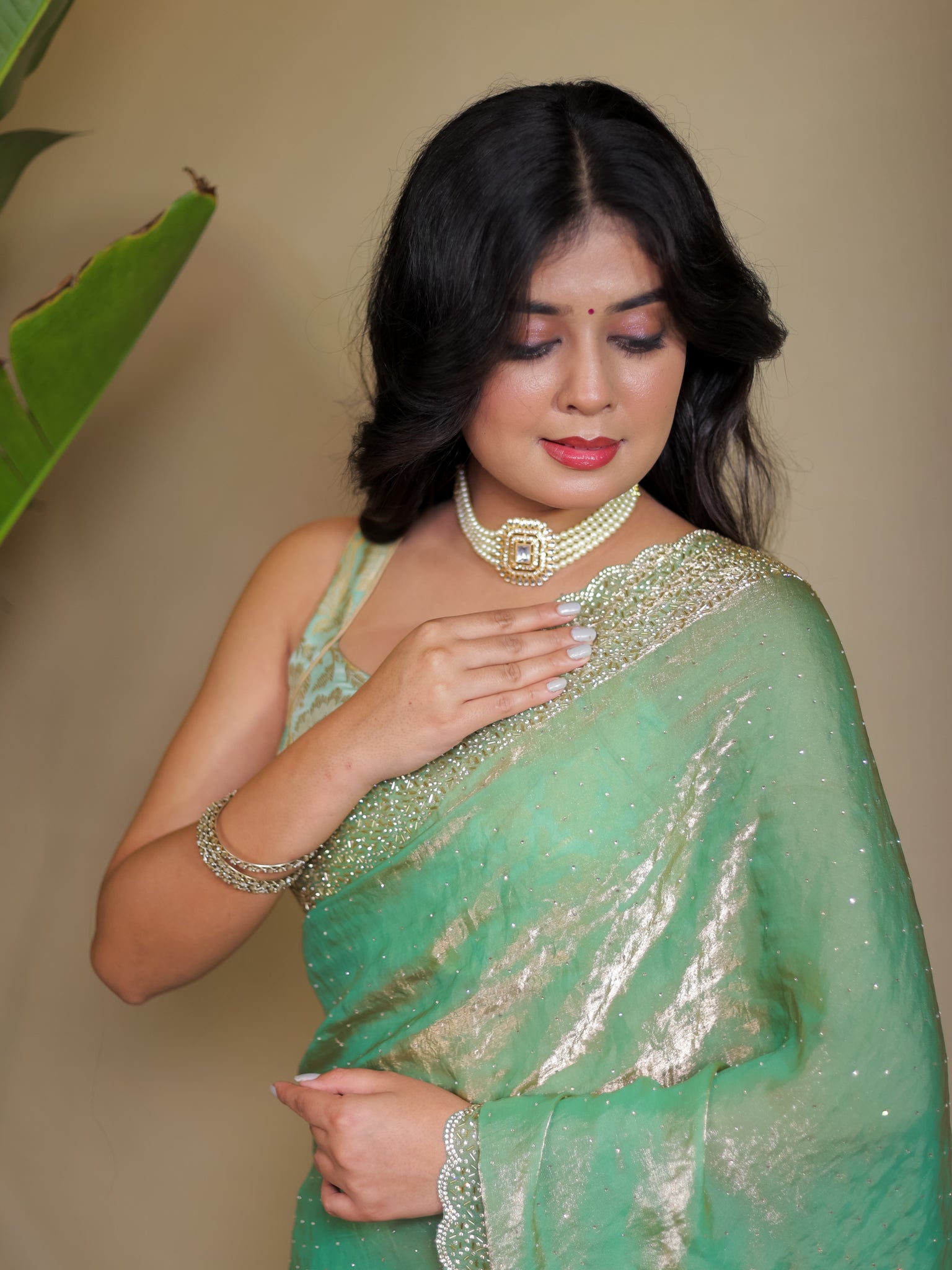 Tissue Sequin Saree - Pastel Green