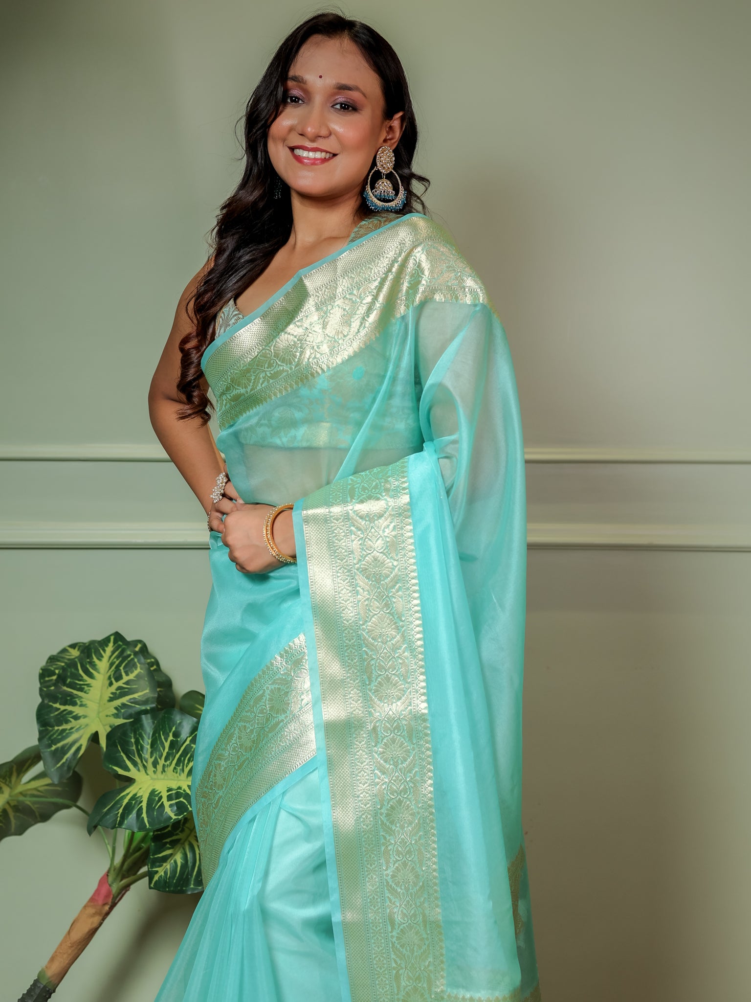 Banarasi Plain Organza Saree With Zari Border- Sky Blue