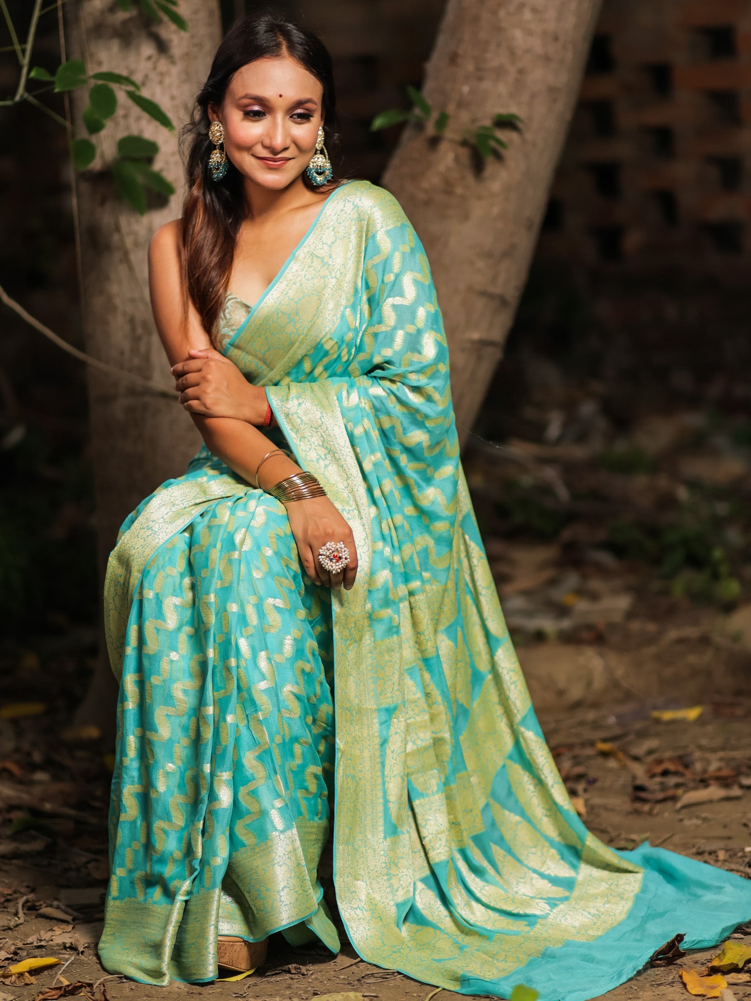 Banaras Pure Georgette Saree With Resham Weaving-Sky Blue