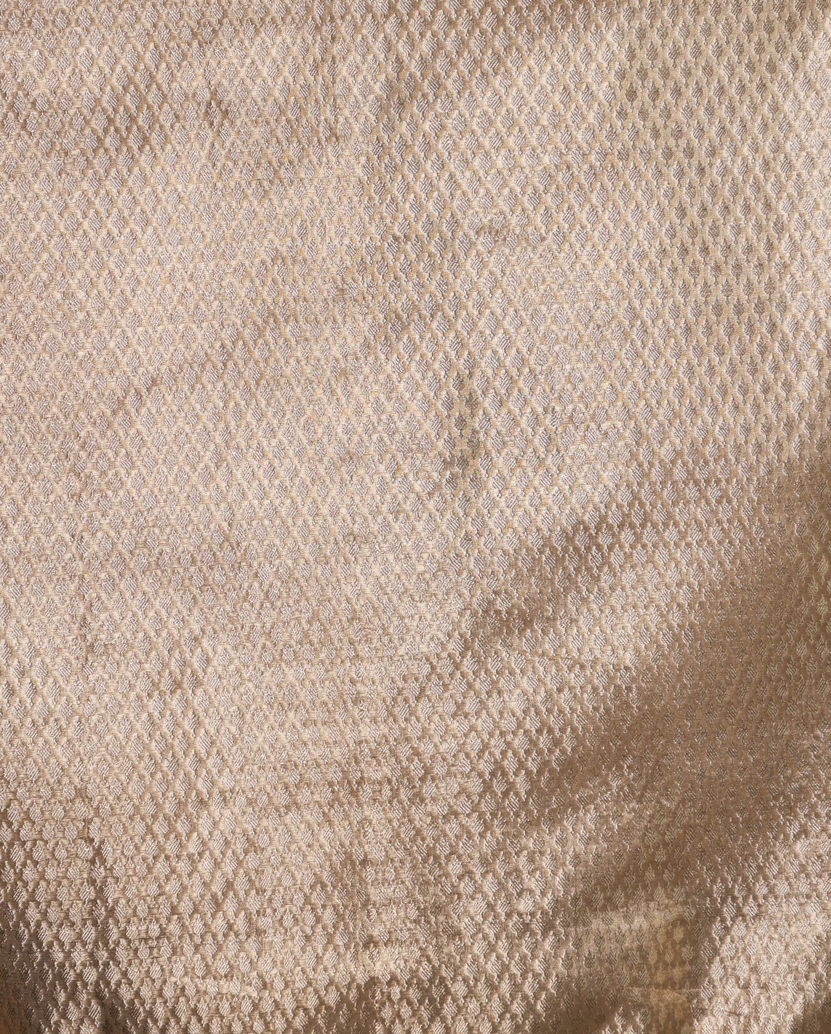 Banarasi Mirror Work Tissue Saree with Lace Border - Beige