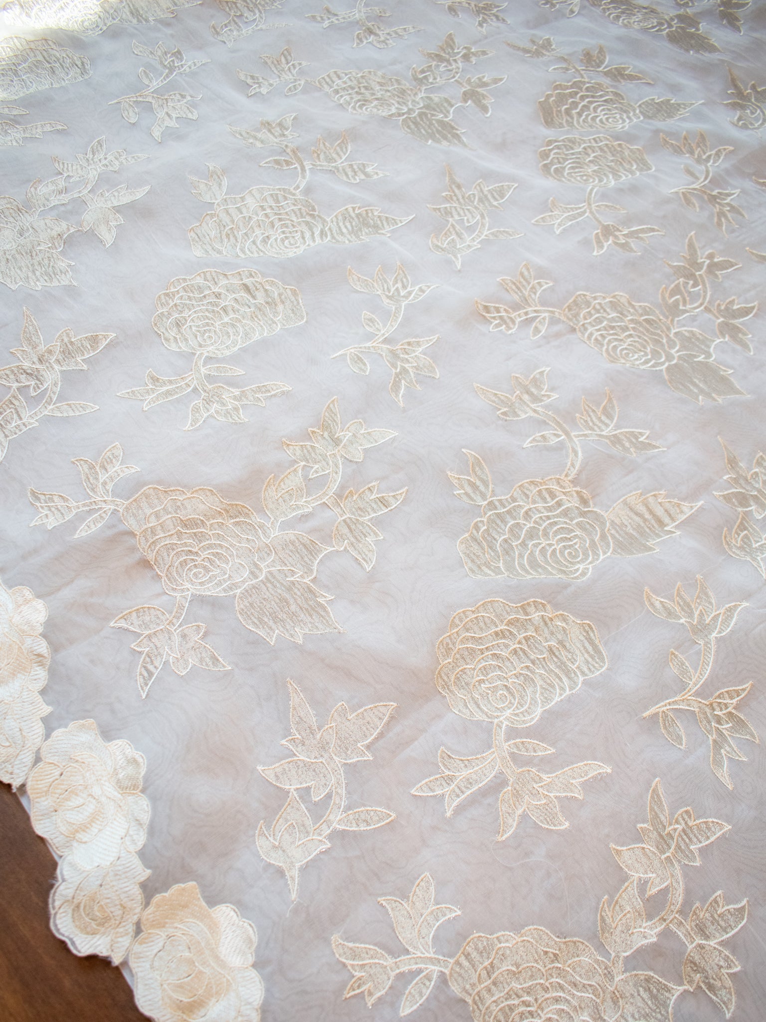 Banarasi Pure Organza Saree With Floral Cutwork & Hand Embroidery-Off White