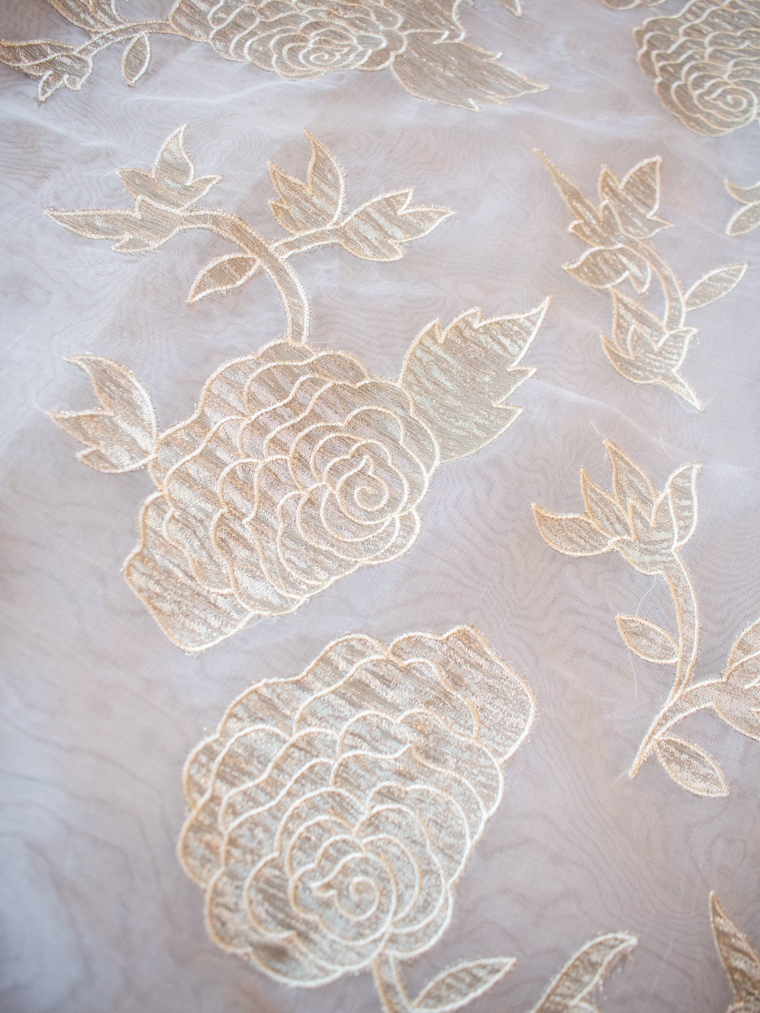 Banarasi Pure Organza Saree With Floral Cutwork & Hand Embroidery-Off White