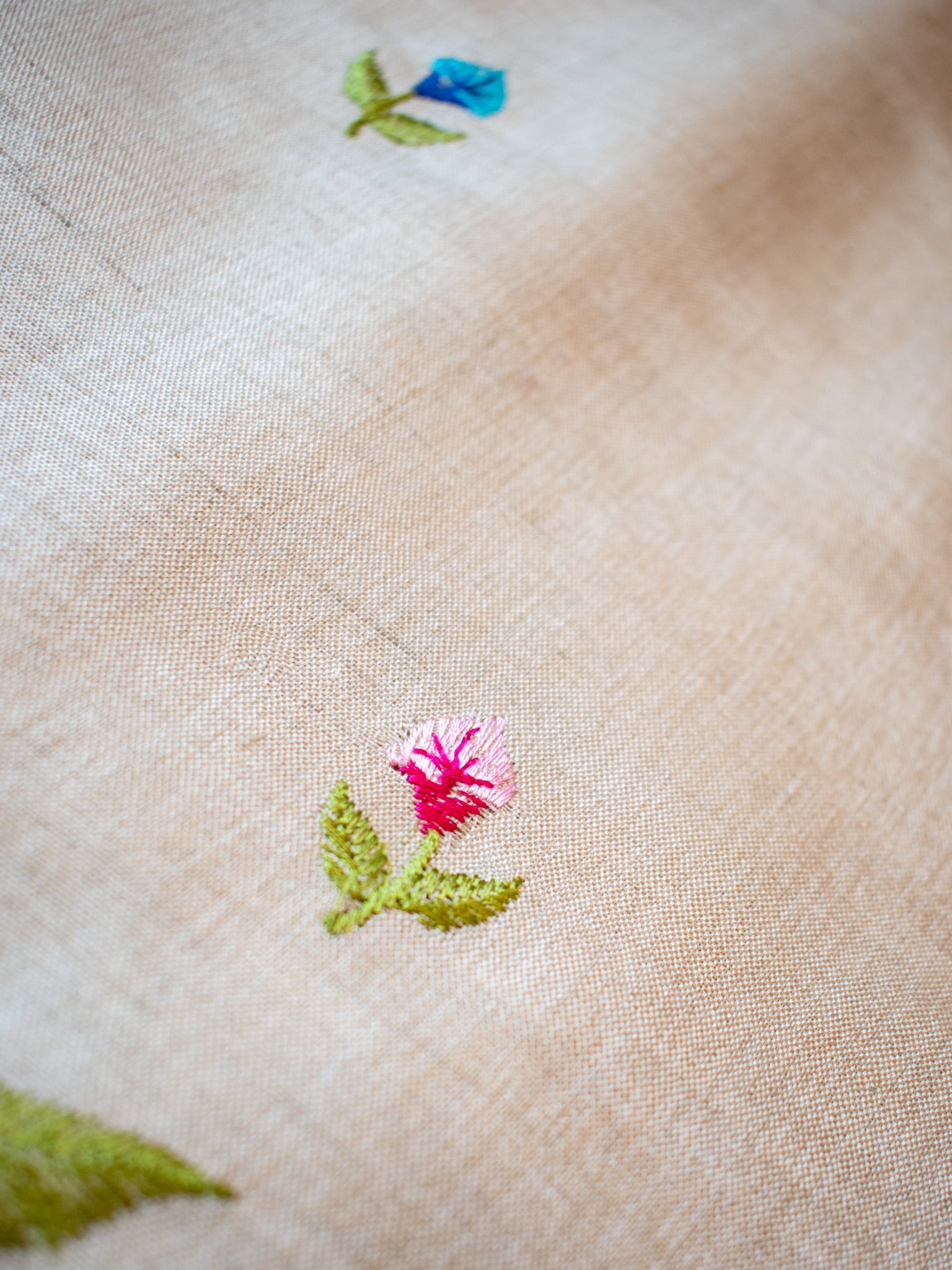 Floral Embroidered Tassar Silk Saree- Beige