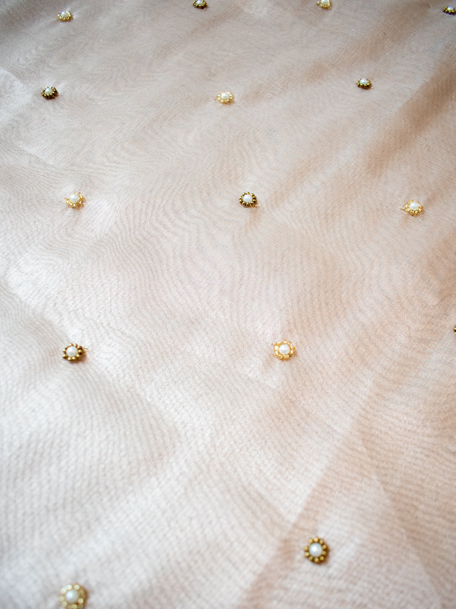 Banarasi Tissue Saree With Scallop Border - Beige