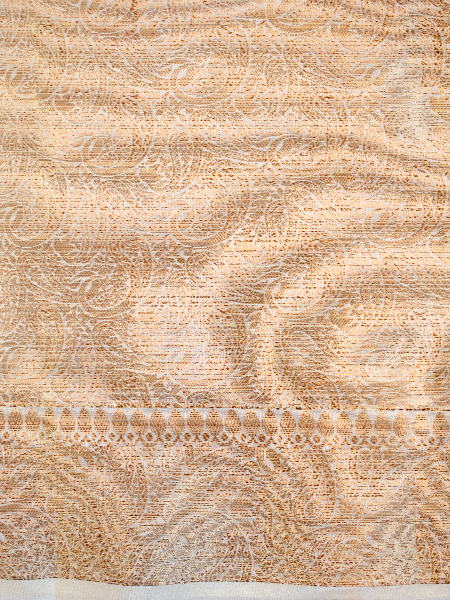 Banarasi Cotton Silk Saree With Plain Skirt Border- Off White