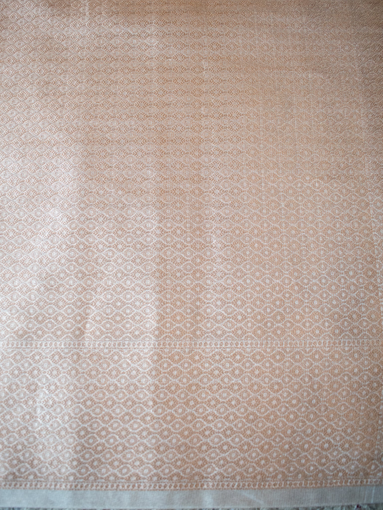 Banarasi Tissue Saree With Scallop Border - Beige