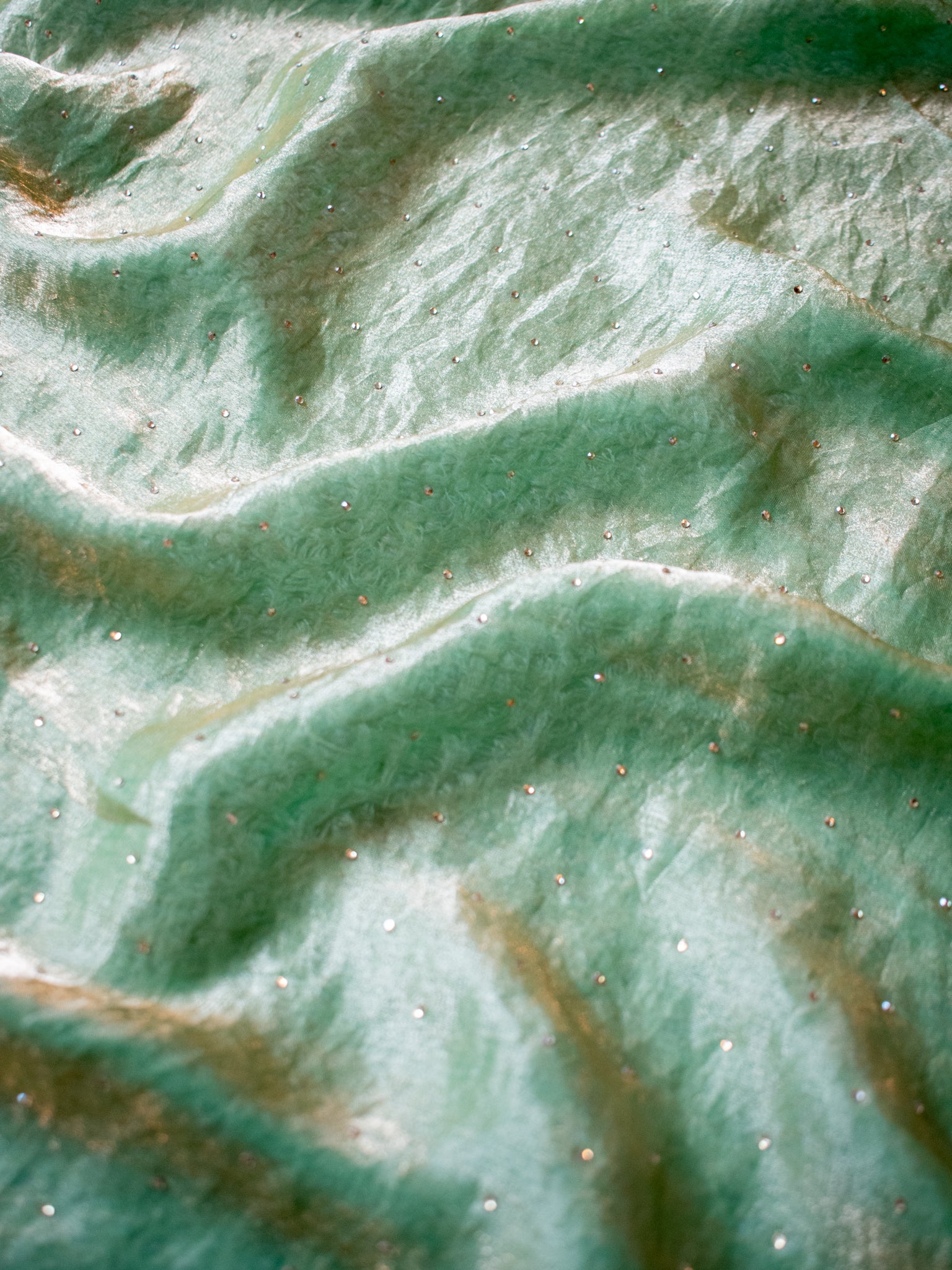 Tissue Sequin Saree - Pastel Green