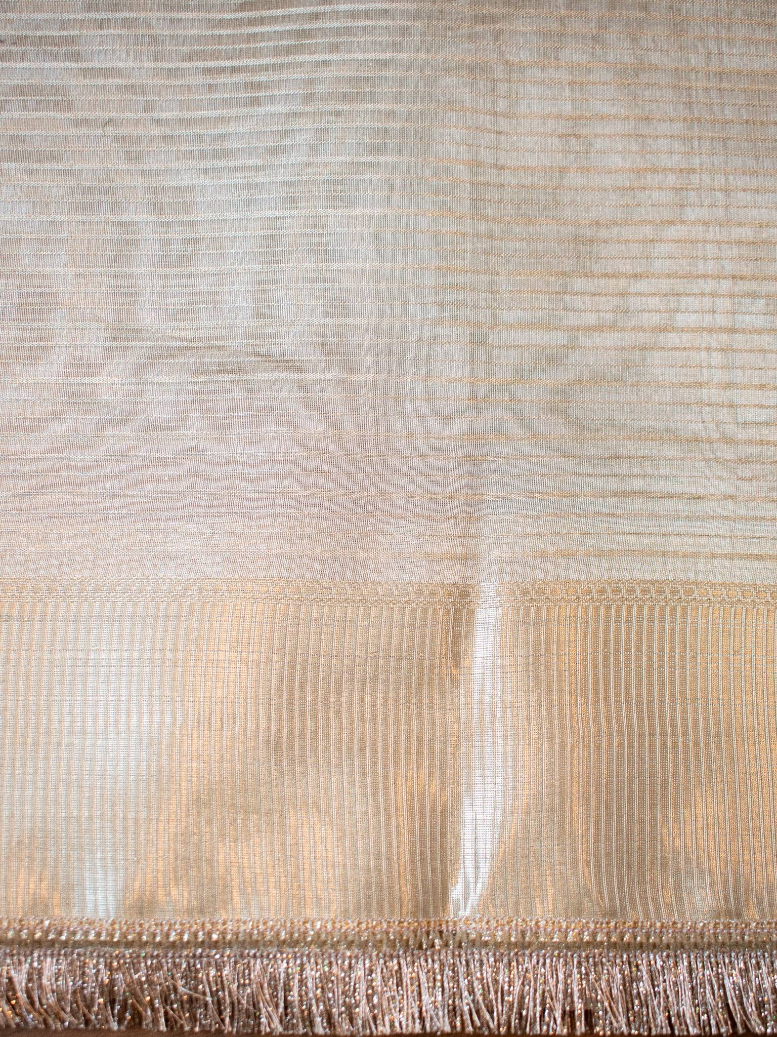 Banarasi Tissue Saree with Lace Border- Silver