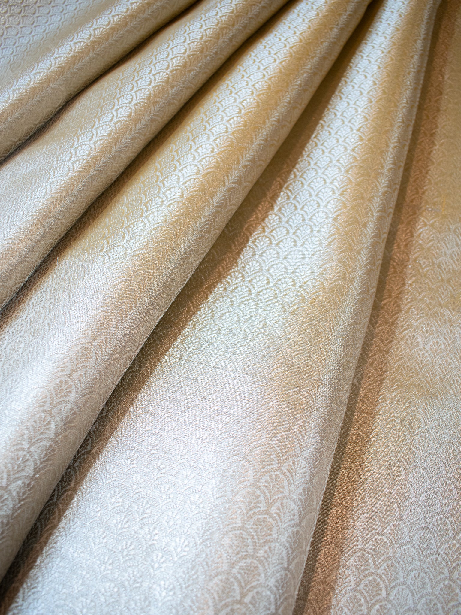 Banarasi Tissue Saree With Silver Weaving - Silver