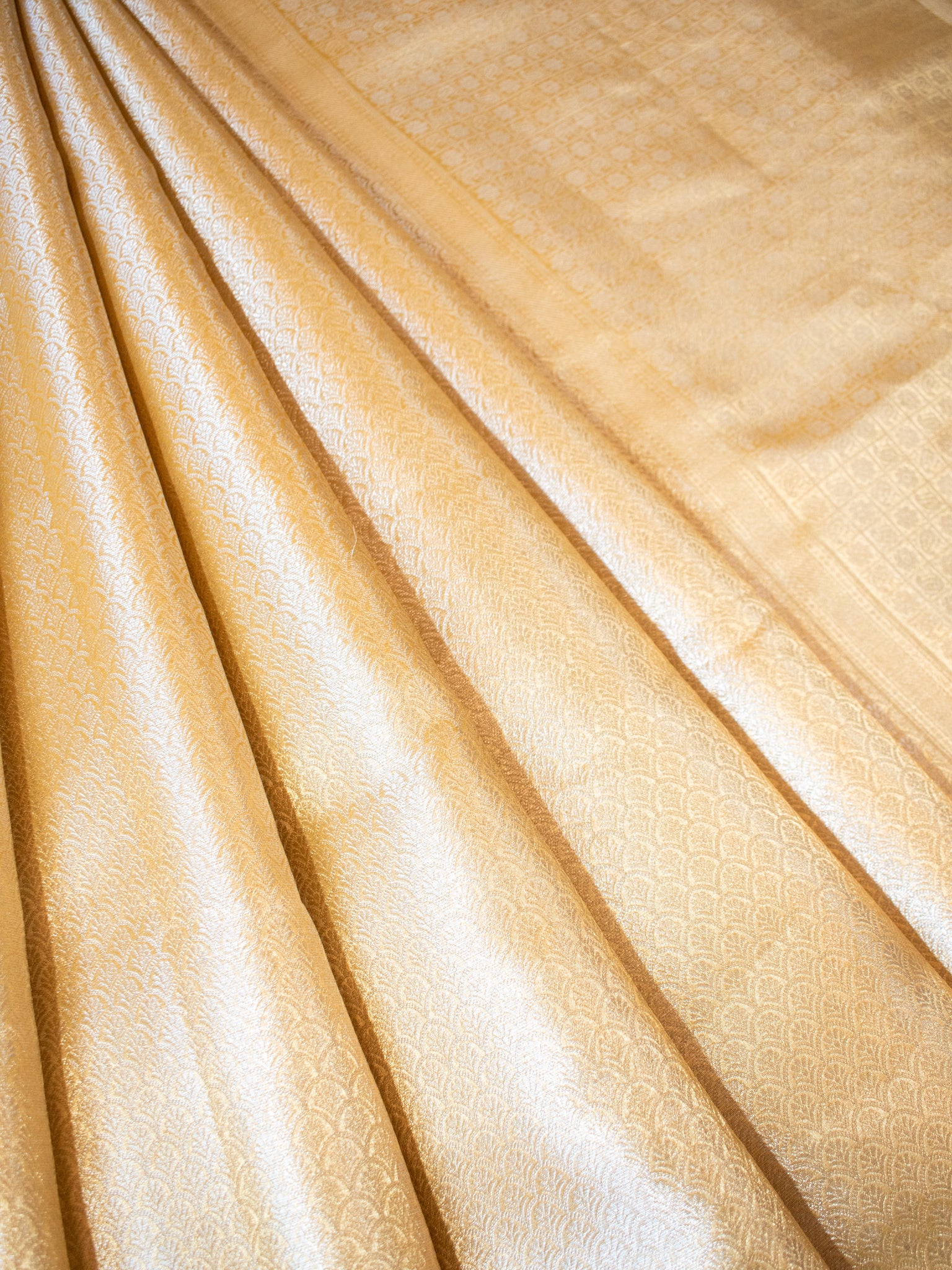 Banarasi Tissue Saree With Golden Weaving - Gold