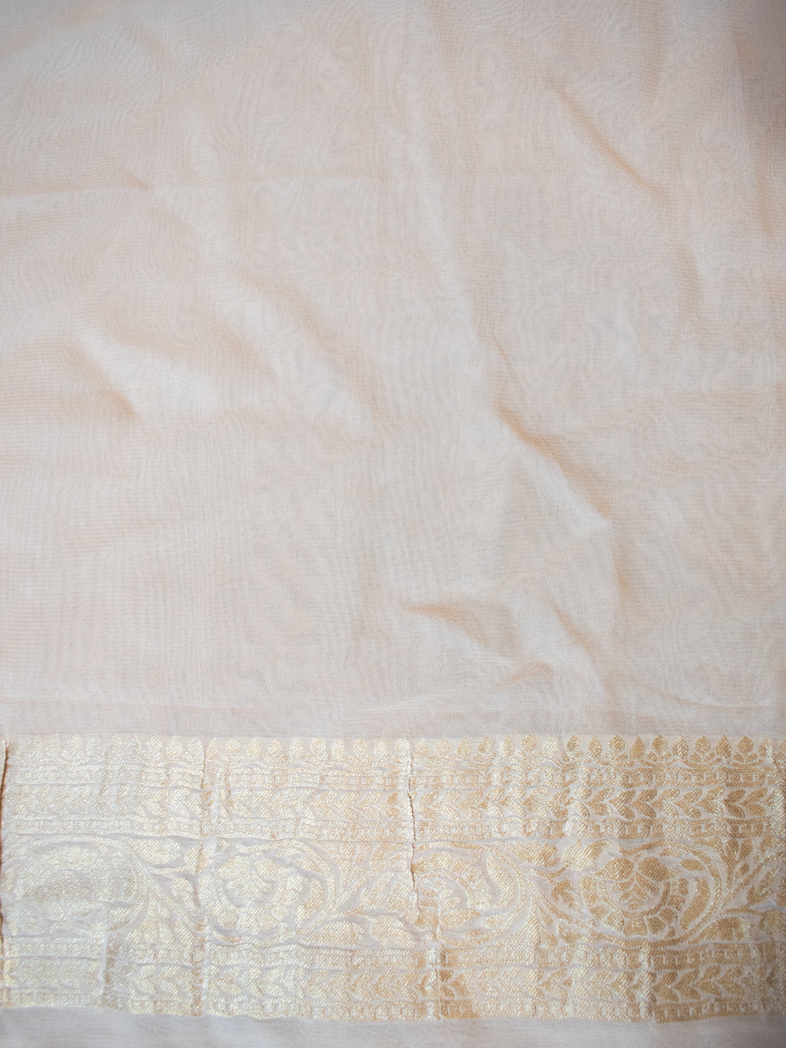 Banarasi Viscose Georgette Saree With Floral Weaving- Beige