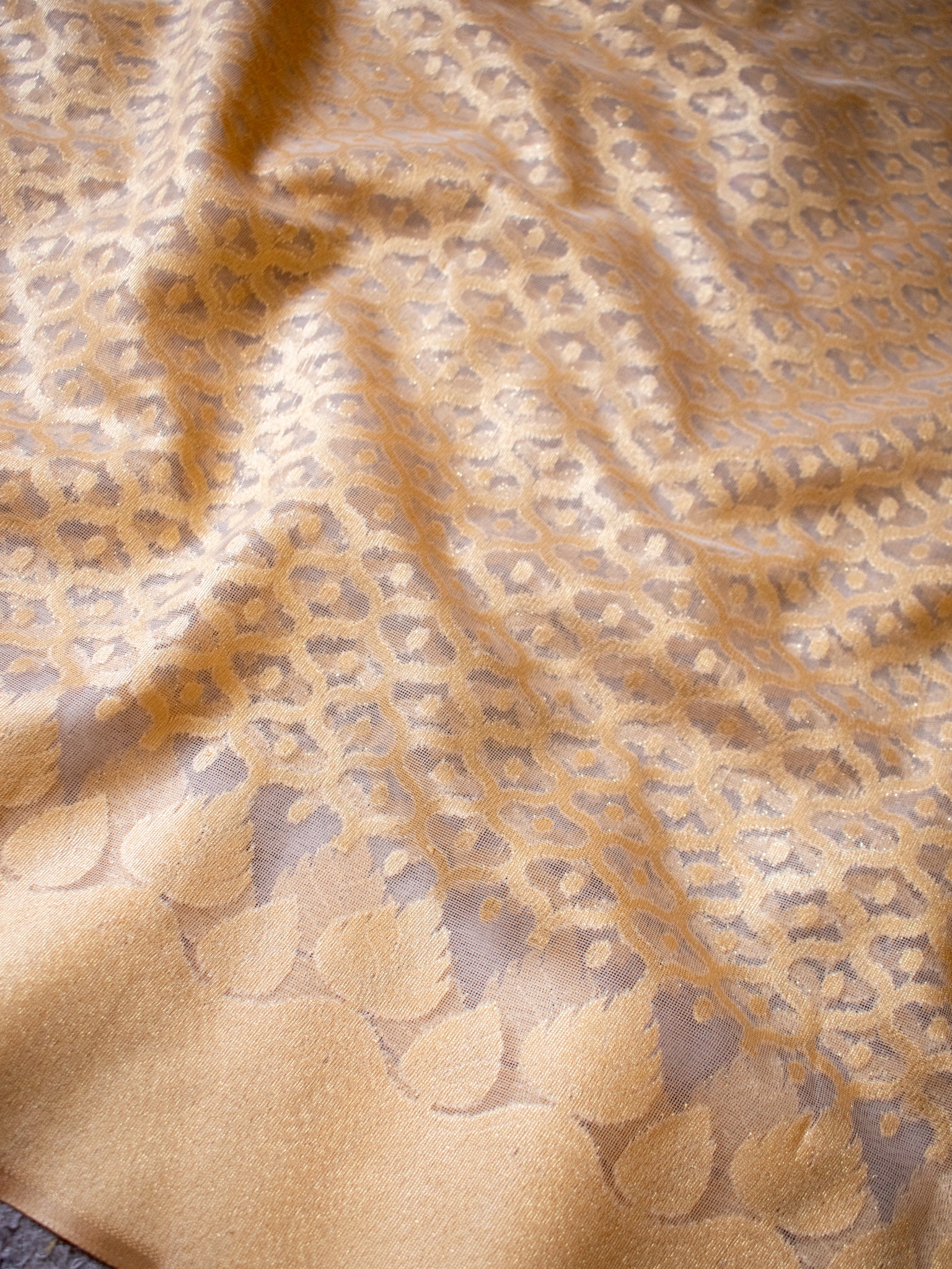 Banarasi Tissue Saree With Border - Golden