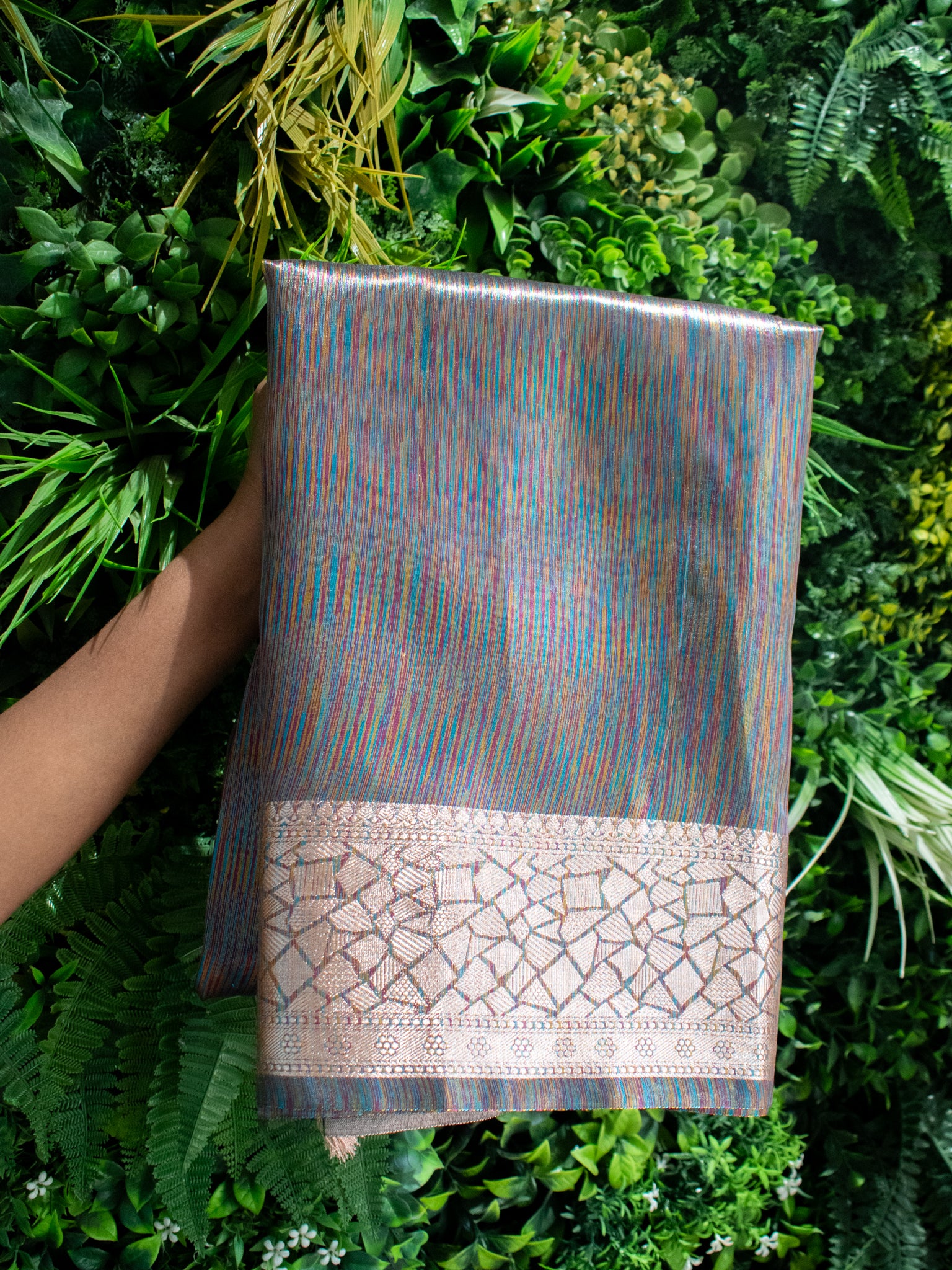 Banarasi Tissue Saree With Zari Border- Rainbow