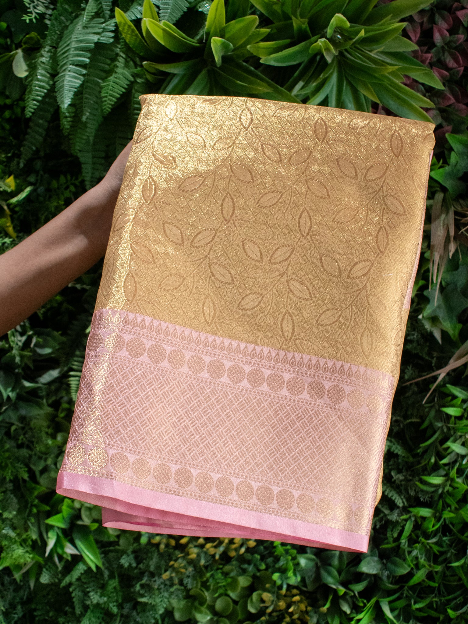 Banarasi Tissue Saree With Weaving & Border- Gold