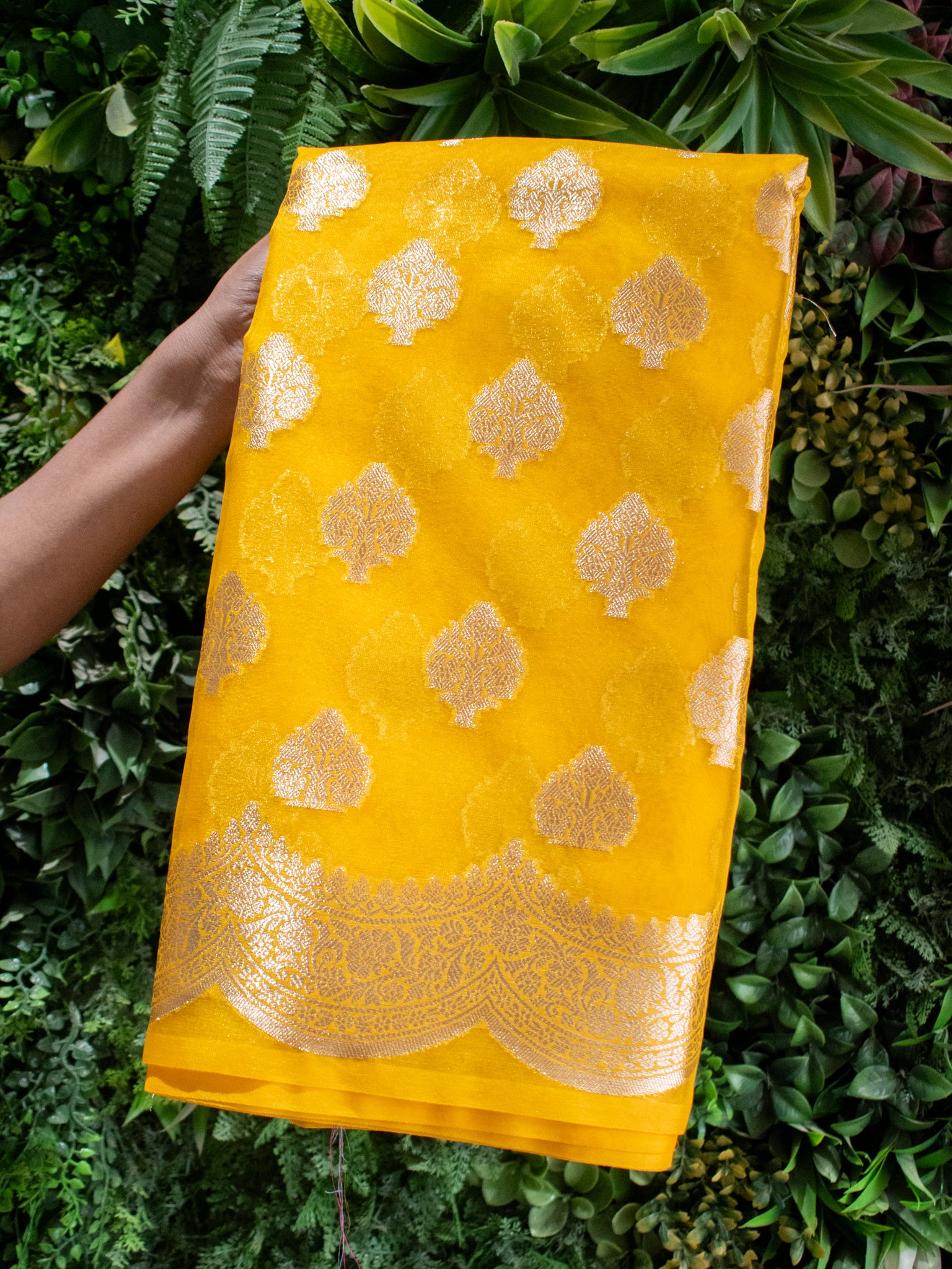 Banarasi Organza Saree With Zari Buta & Border- Yellow