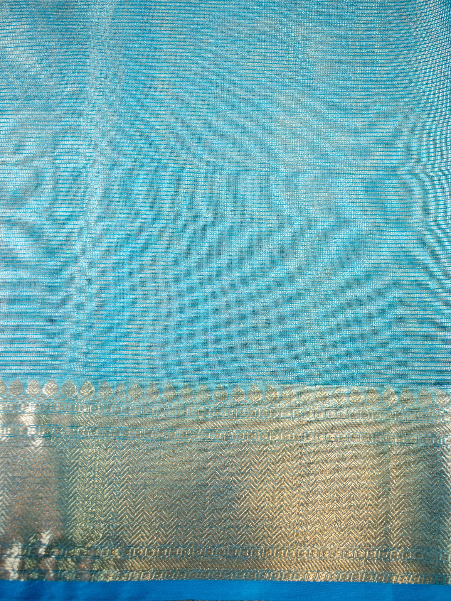 Banarasi Tissue Saree With Embroidery & Border - Blue