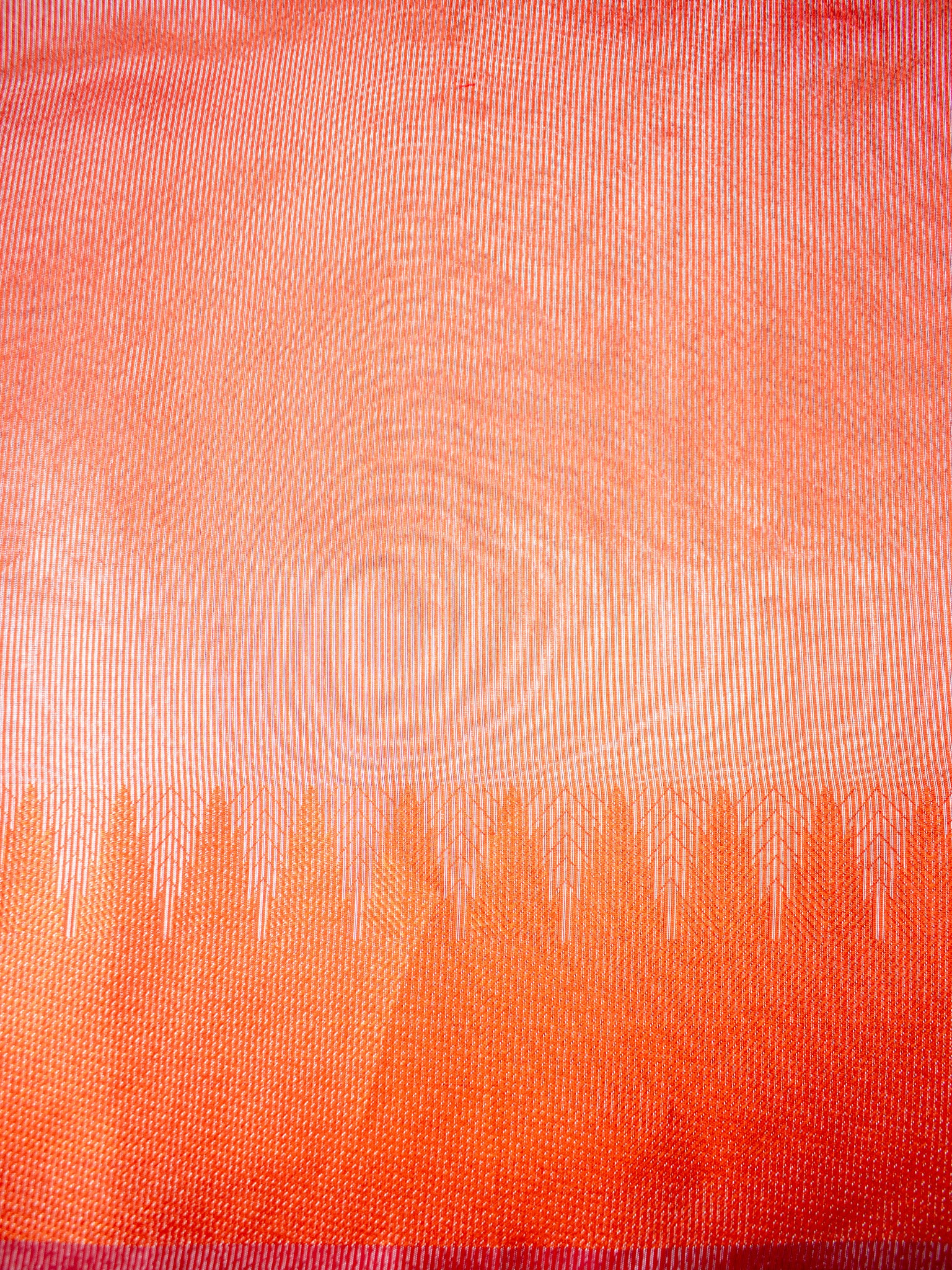 Banarasi Plain Shaded Tissue Saree With Zari Border - Green