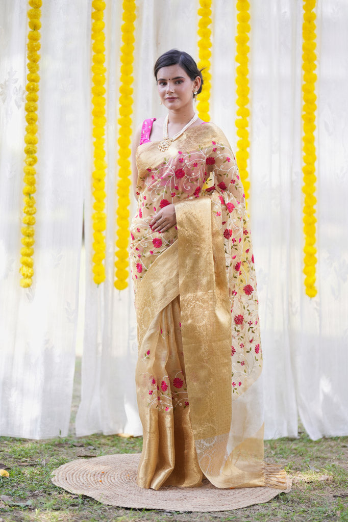 Banarasi Soft Tissue Saree With Jaal Embroidery Zari Weaving Border -Beige