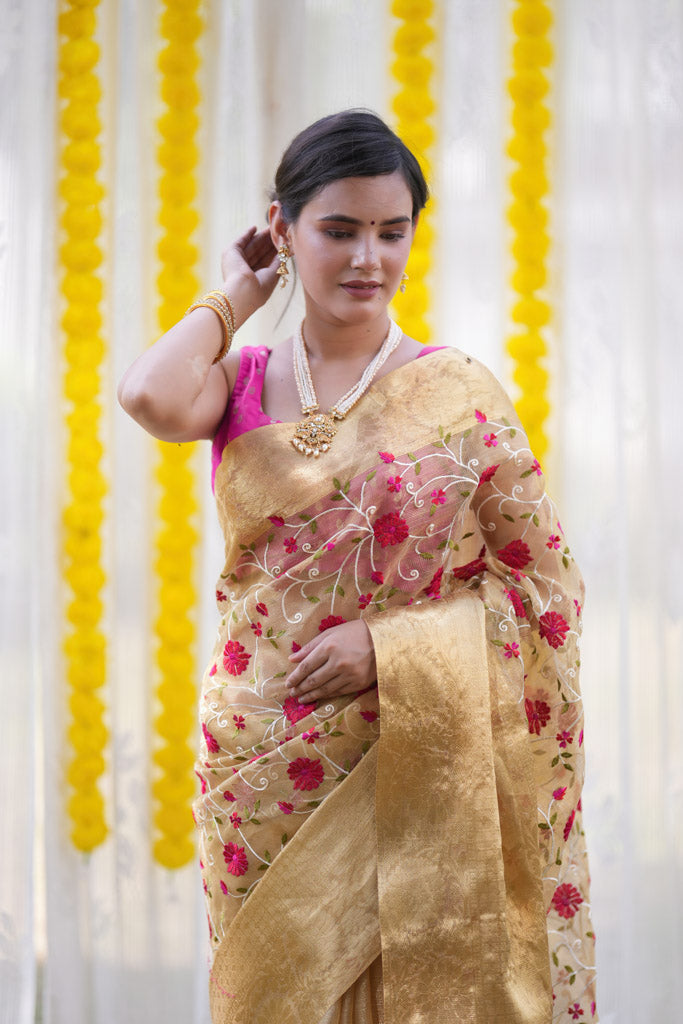 Banarasi Soft Tissue Saree With Jaal Embroidery Zari Weaving Border -Beige