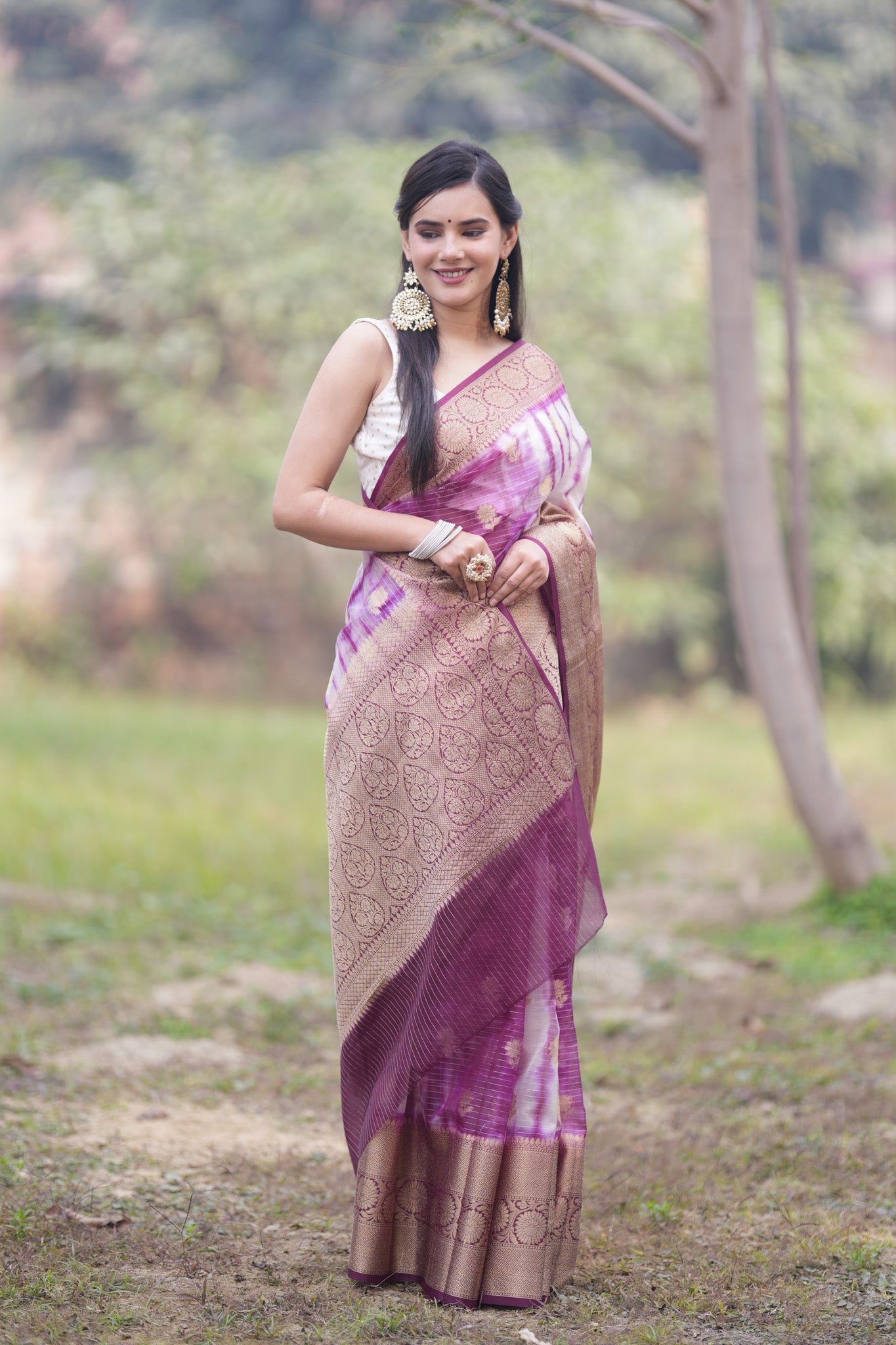 Banarasi Shibori Dyed Super Net Saree With Buti & Zari Border - Purple