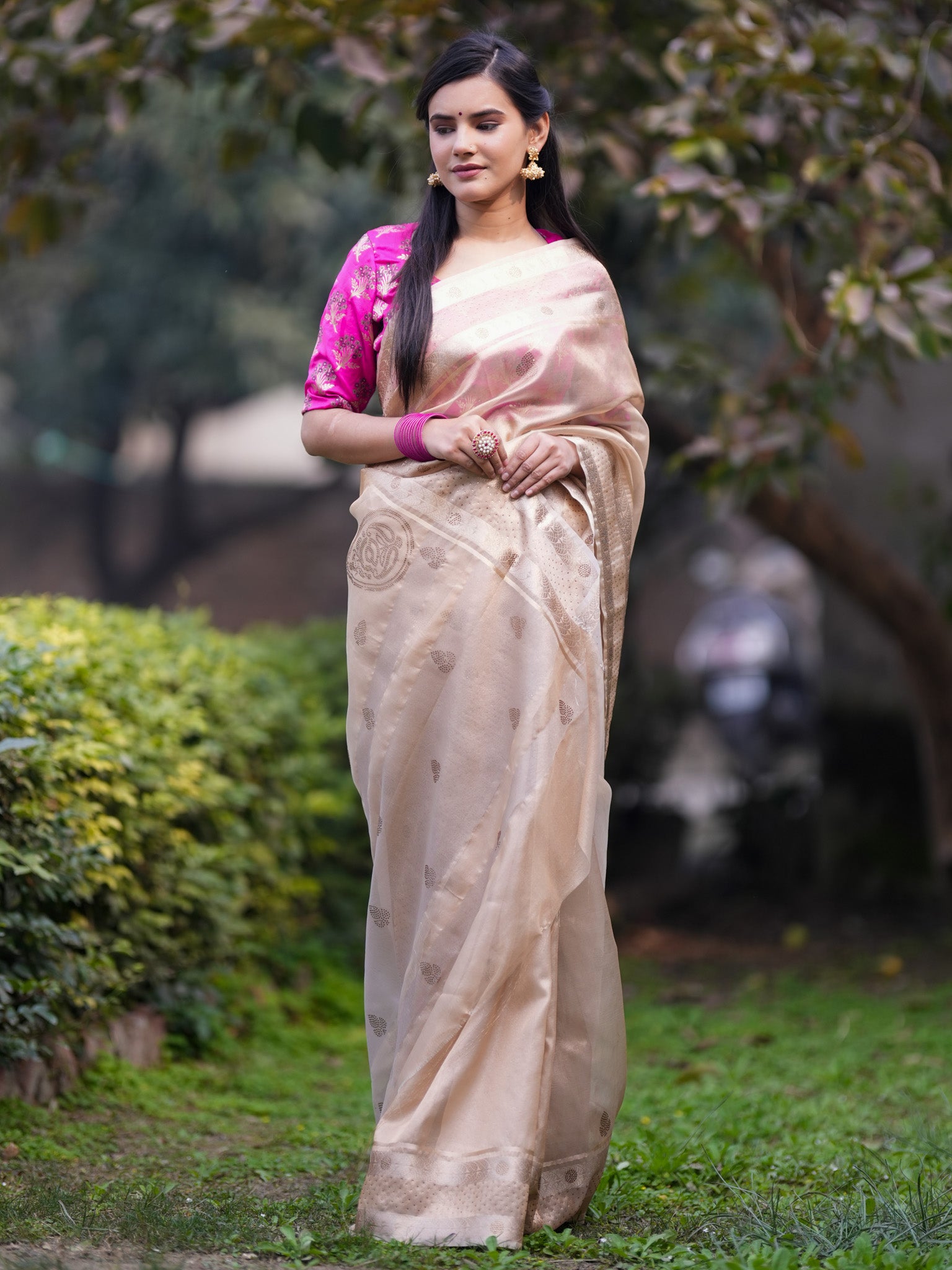 Banarasi Tissue Saree With Zari Border - Gold