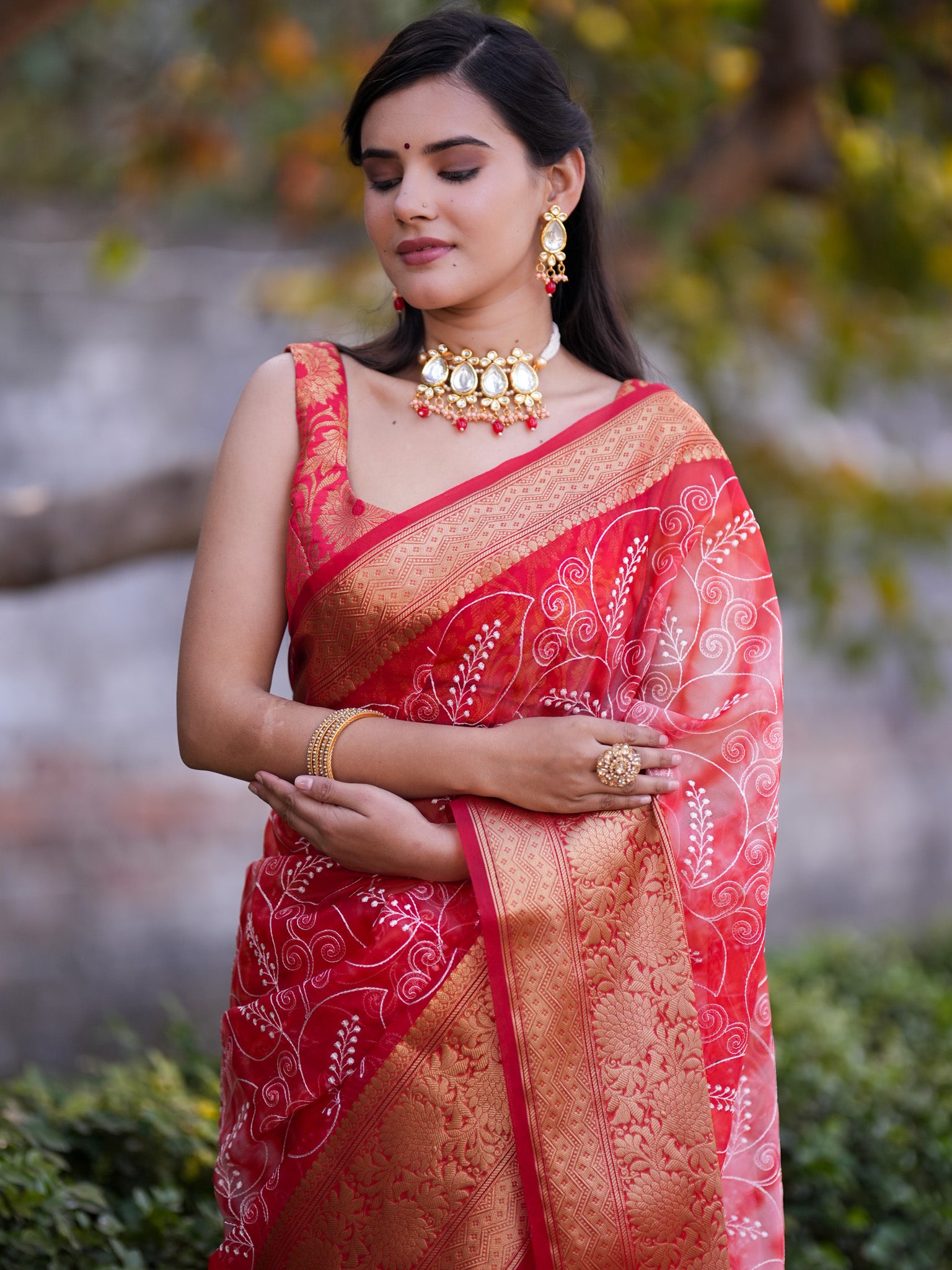 Banarasi Shibori Dyed Organza Saree With Embroidered Floral Design & Zari Border - Red