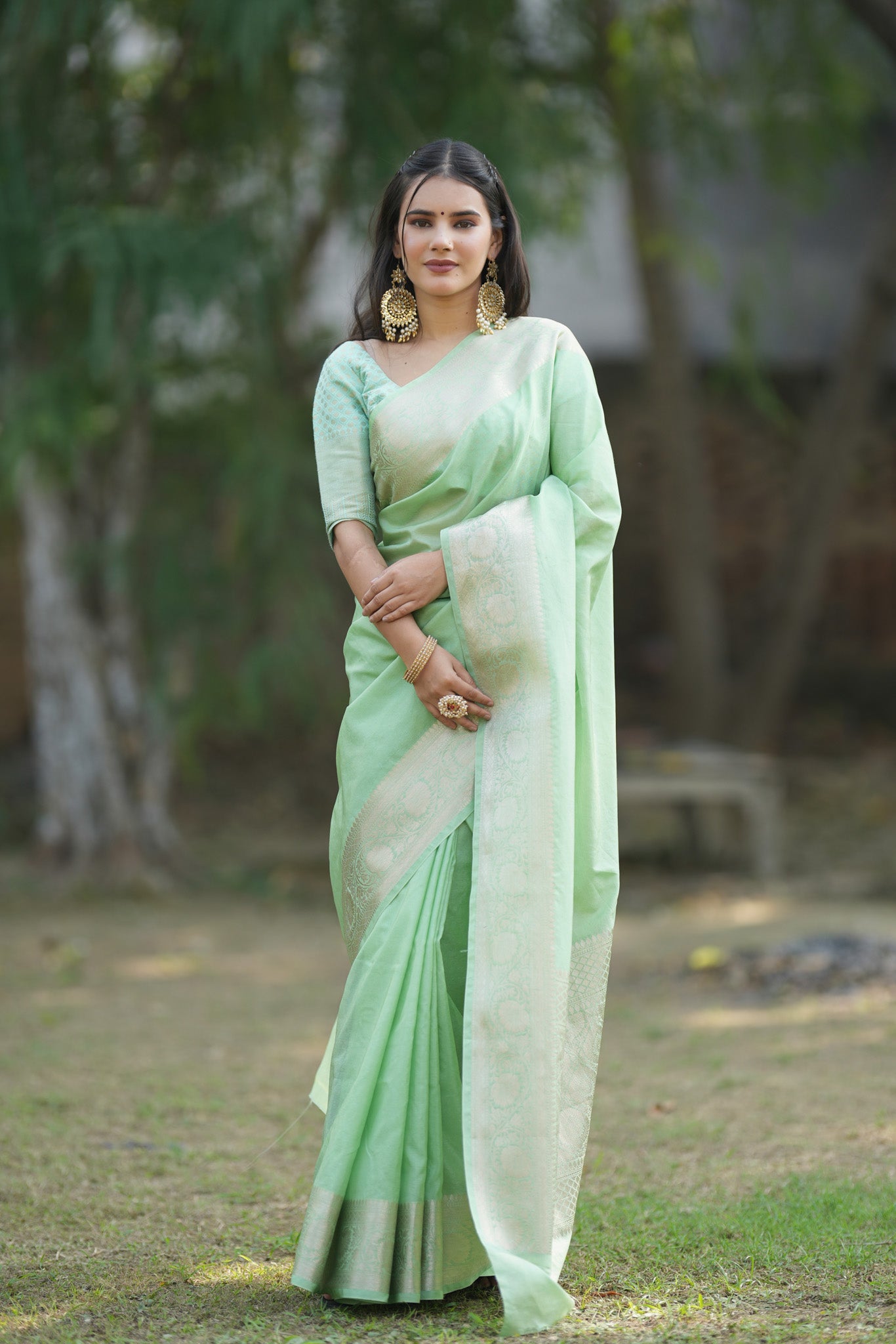 Banarasi Cotton Silk Saree with Plain Border-Pastel Green