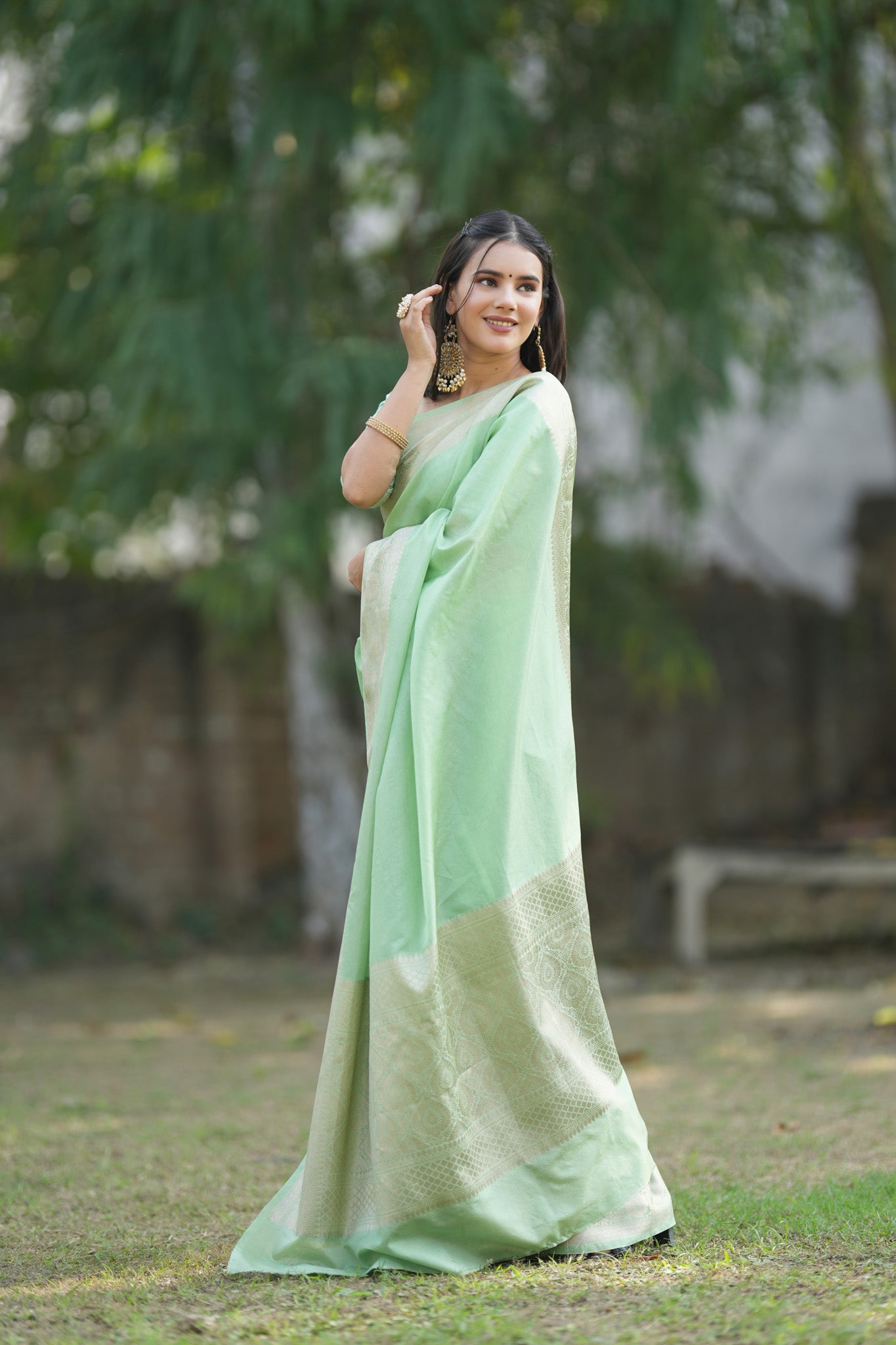 Banarasi Cotton Silk Saree with Plain Border-Pastel Green